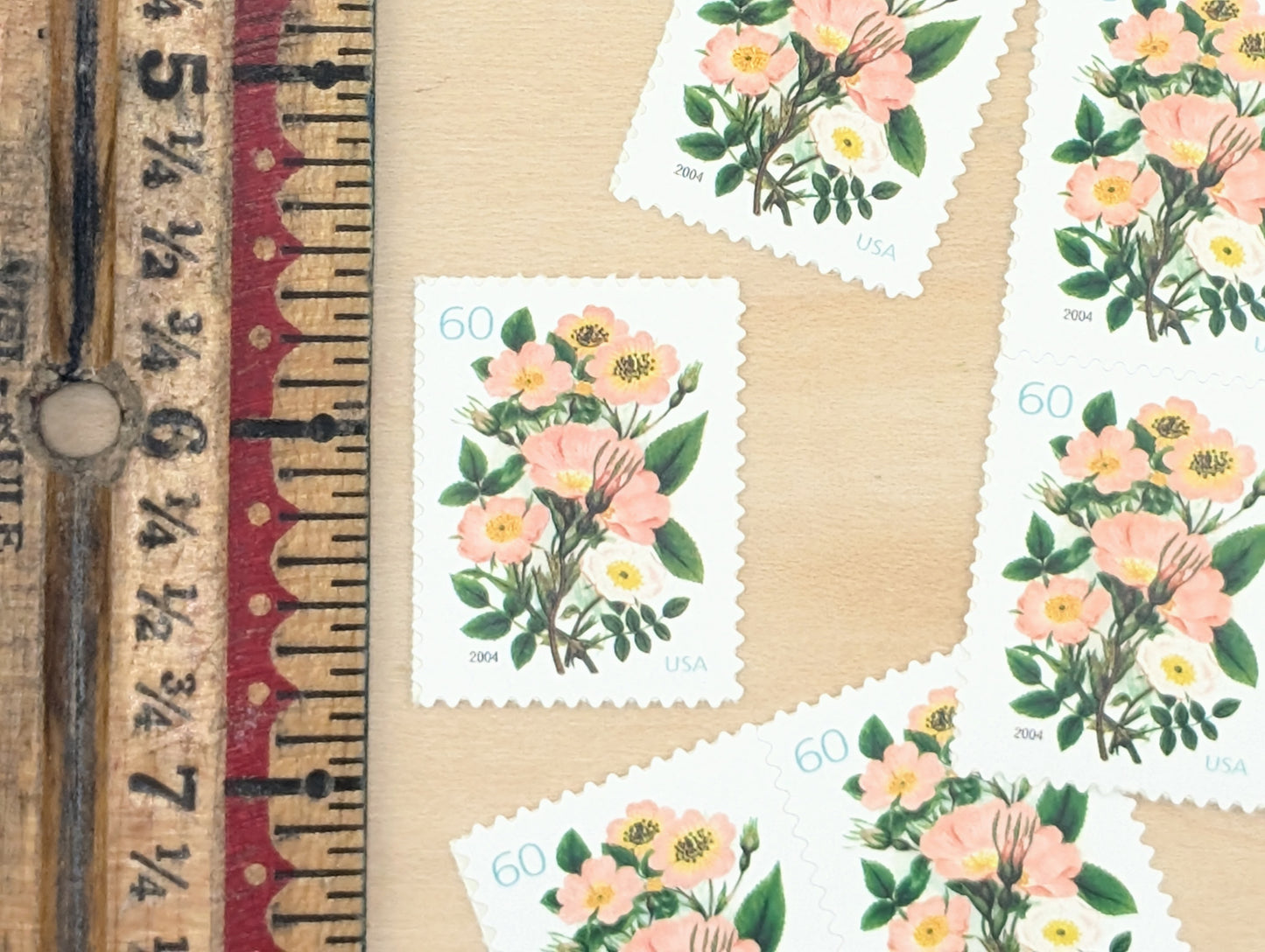 Garden Botanical, Vintage Unused USPS 60 Cent Postage Stamps, Garden Botanical Stamps (Pink Wild Rose), 2003, Gummed