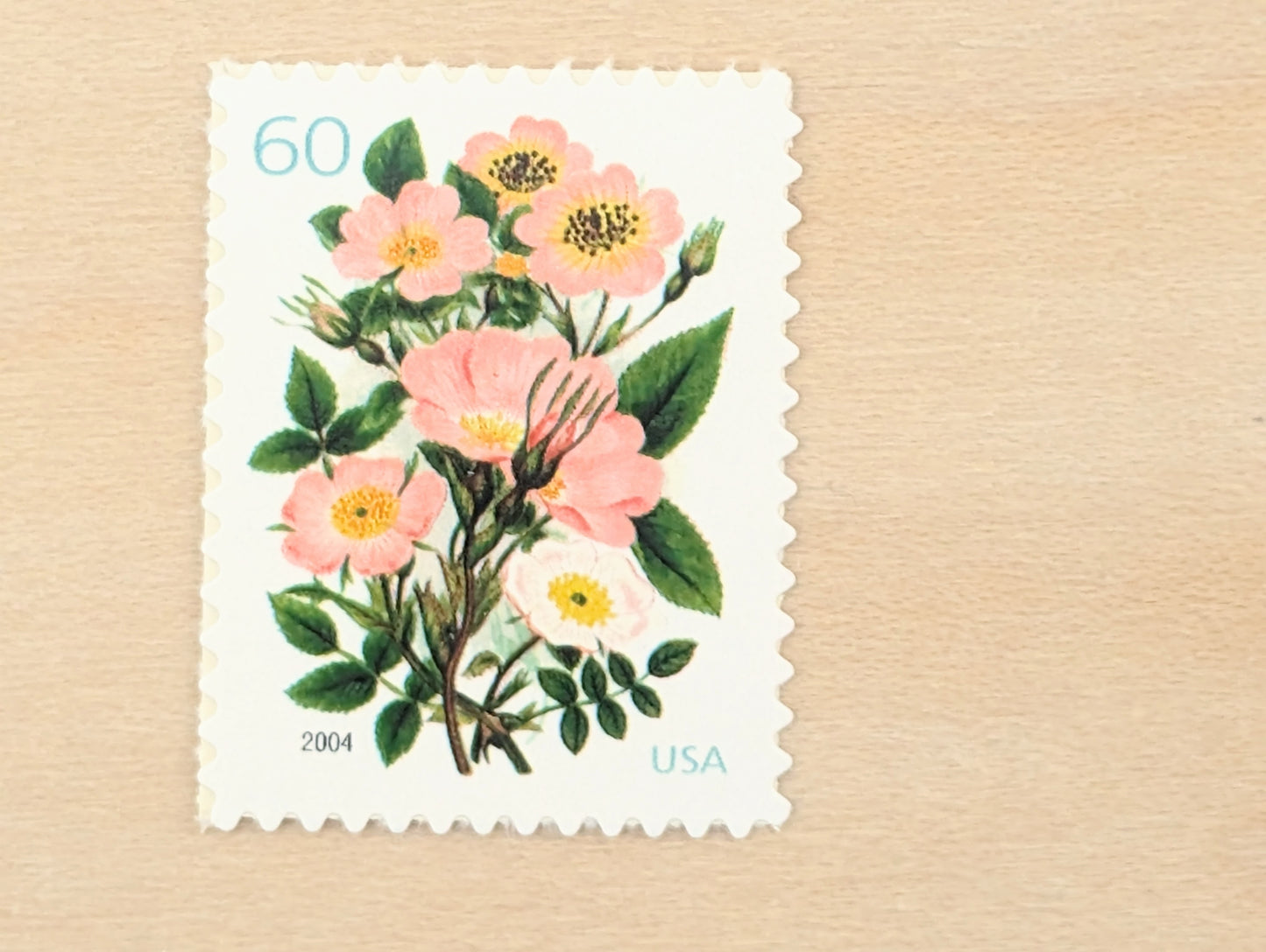Garden Botanical, Vintage Unused USPS 60 Cent Postage Stamps, Garden Botanical Stamps (Pink Wild Rose), 2003, Gummed