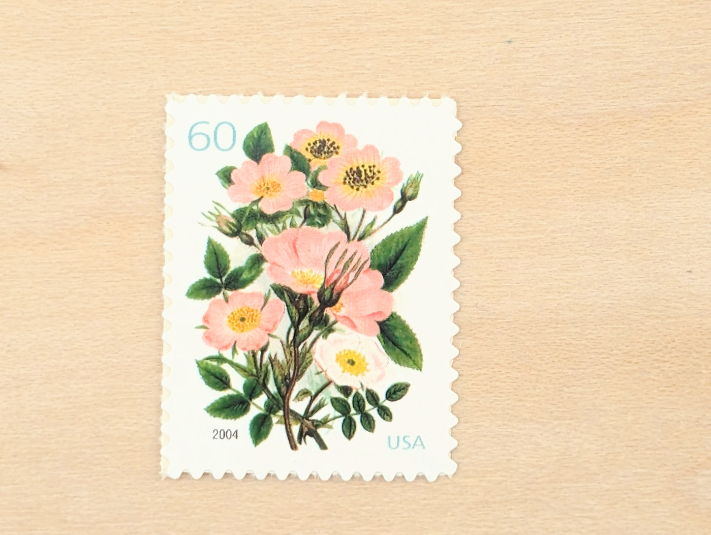 Garden Botanical, Vintage Unused USPS 60 Cent Postage Stamps, Garden Botanical Stamps (Pink Wild Rose), 2003, Gummed