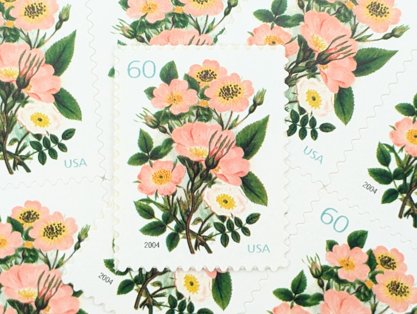 Garden Botanical, Vintage Unused USPS 60 Cent Postage Stamps, Garden Botanical Stamps (Pink Wild Rose), 2003, Gummed
