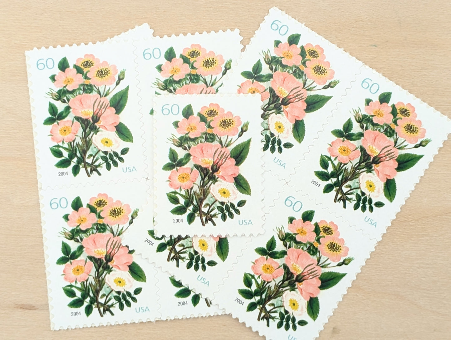 Garden Botanical, Vintage Unused USPS 60 Cent Postage Stamps, Garden Botanical Stamps (Pink Wild Rose), 2003, Gummed