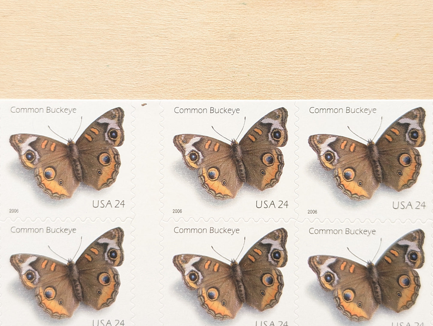 Common Buckeye Moth, Booklet of 10, Unused USPS 24 Cent Postage Stamps, Common Buckeye Moth Stamps, 2006, Self-Adhesive