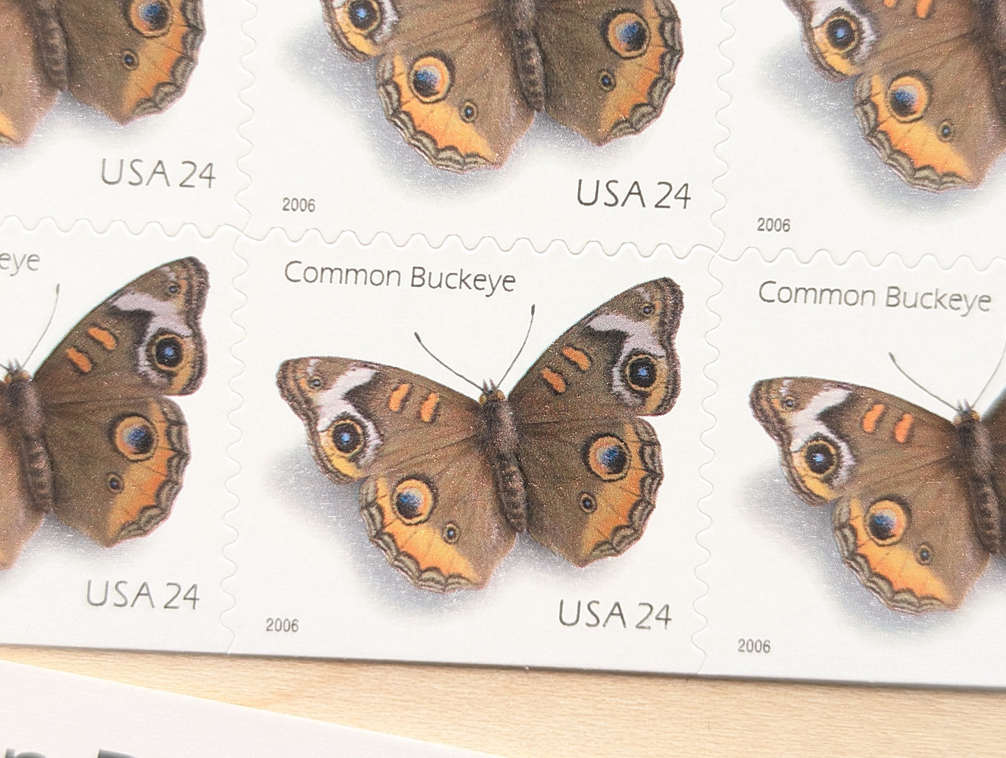 Common Buckeye Moth, Booklet of 10, Unused USPS 24 Cent Postage Stamps, Common Buckeye Moth Stamps, 2006, Self-Adhesive