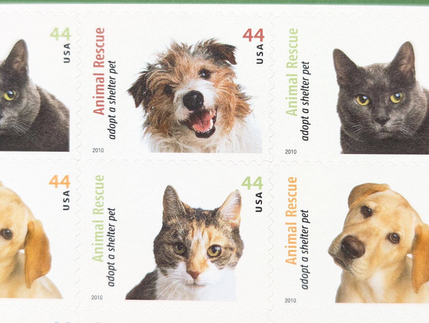 Animal Rescue Adopt a Shelter Pet, Sheet of 20, Unused USPS 44 Cent Postage Stamps, Animal Rescue Stamps, 2010, Self-Adhesive