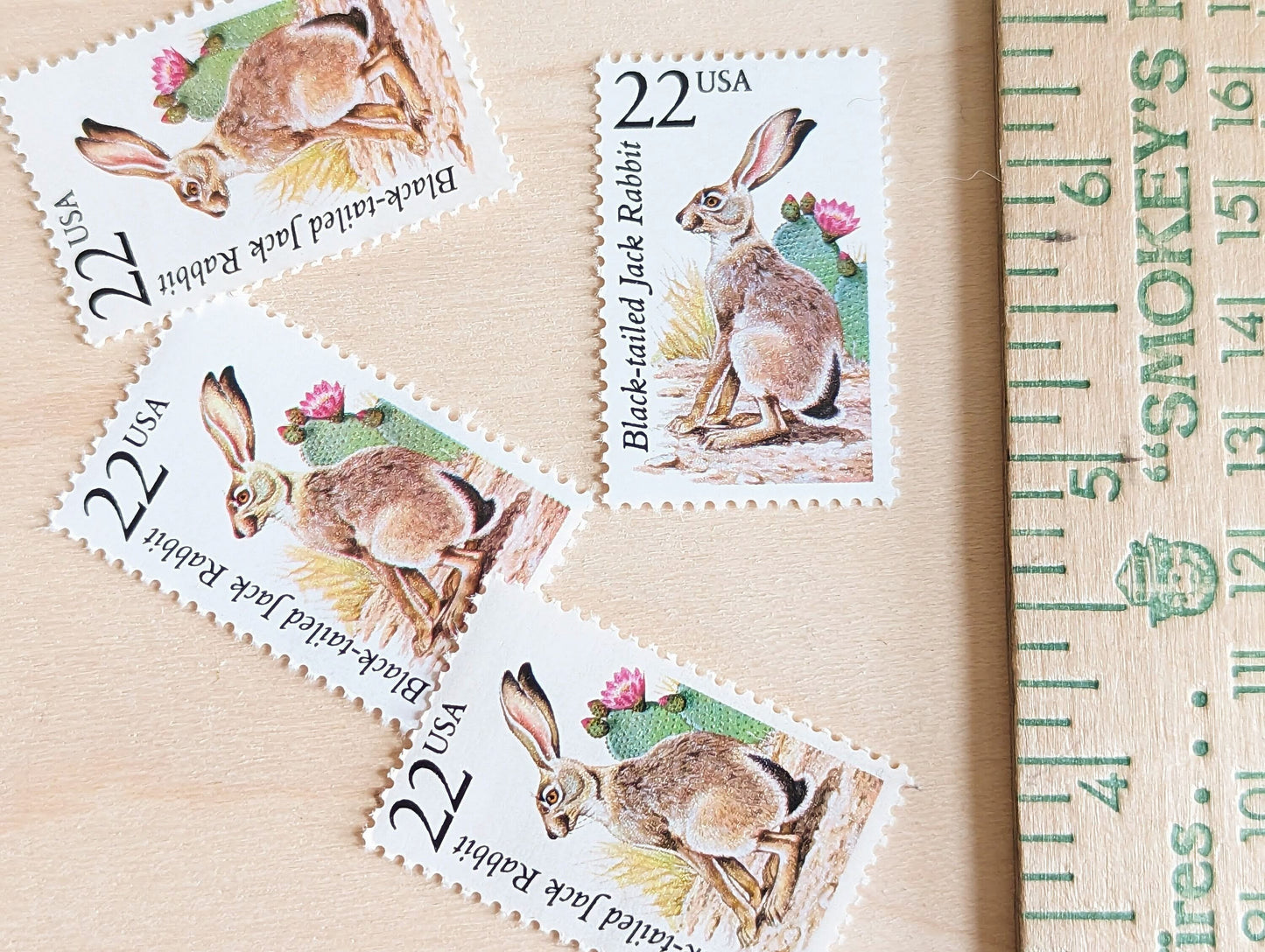 Black-Tailed Jack Rabbit, Set of 5, Vintage Unused USPS 22 Cent Postage Stamps, North American Wildlife Series 1987, Gummed