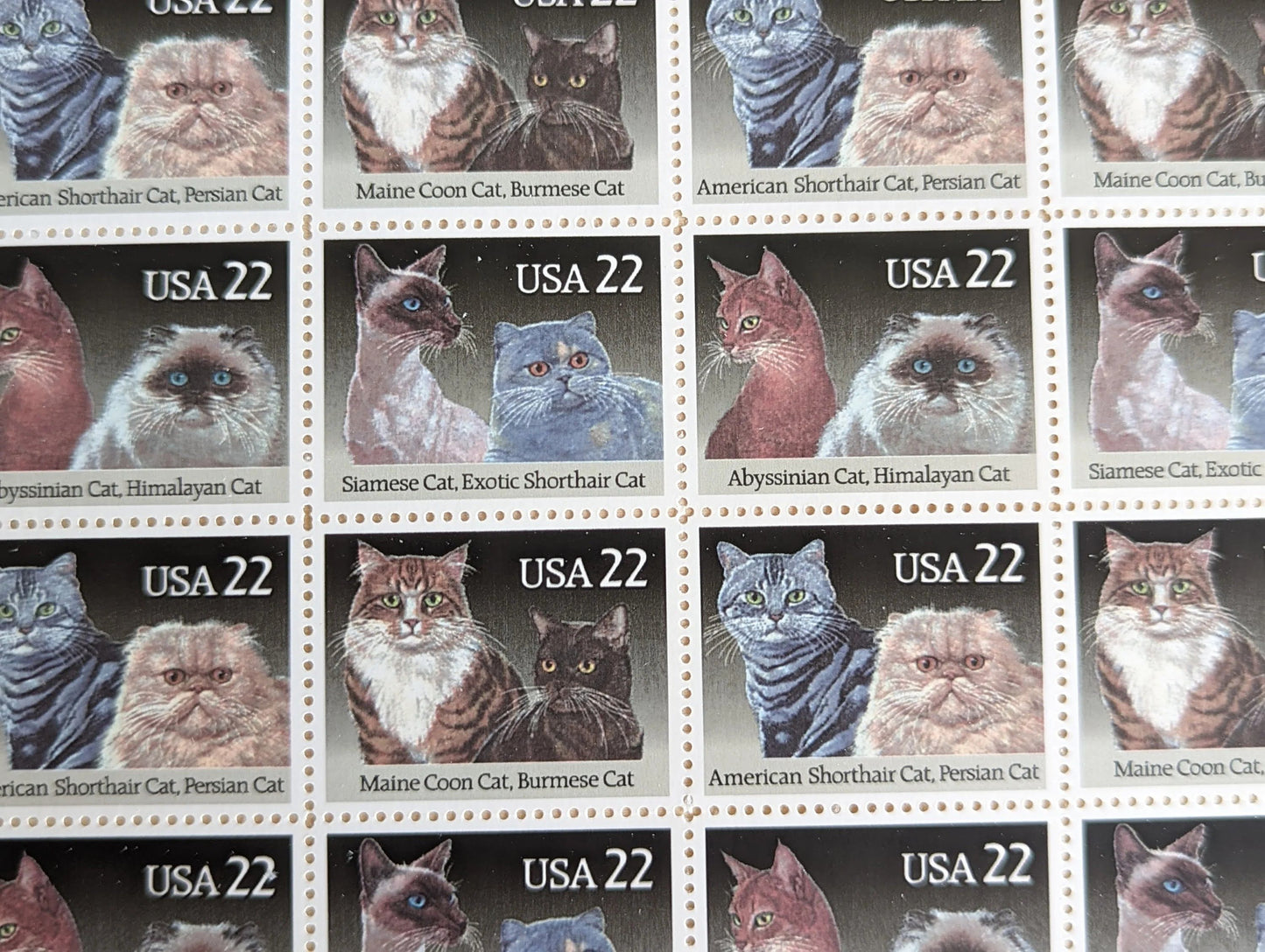Cats, Sheet of 40, Vintage Unused USPS 22 Cent Postage Stamps, Cat Stamps (American Shorthair, Persian, Abyssinian, Himalayan, Siamese, Exotic Shorthair, Maine Coon, Burmese), 1987, Gummed