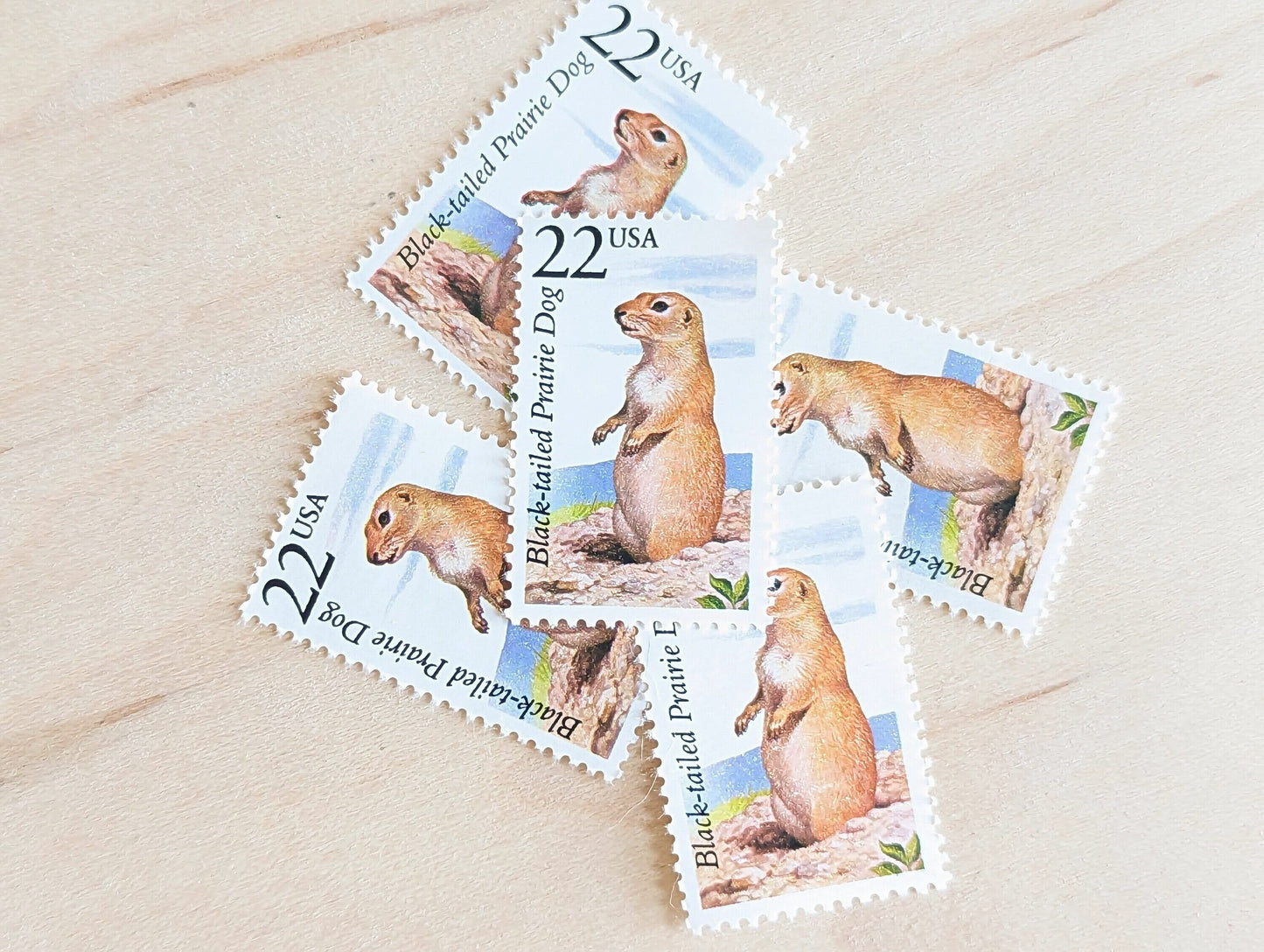 Black-Tailed Prairie Dog, Set of 5, Vintage Unused USPS 22 Cent Postage Stamps, North American Wildlife Series 1987, Gummed