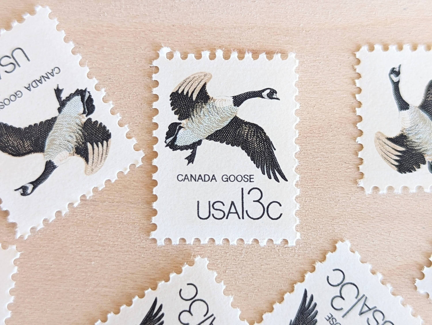 Set of 10 Canada Goose Stamps, 13 Cent 1978 Unused Postage Stamps