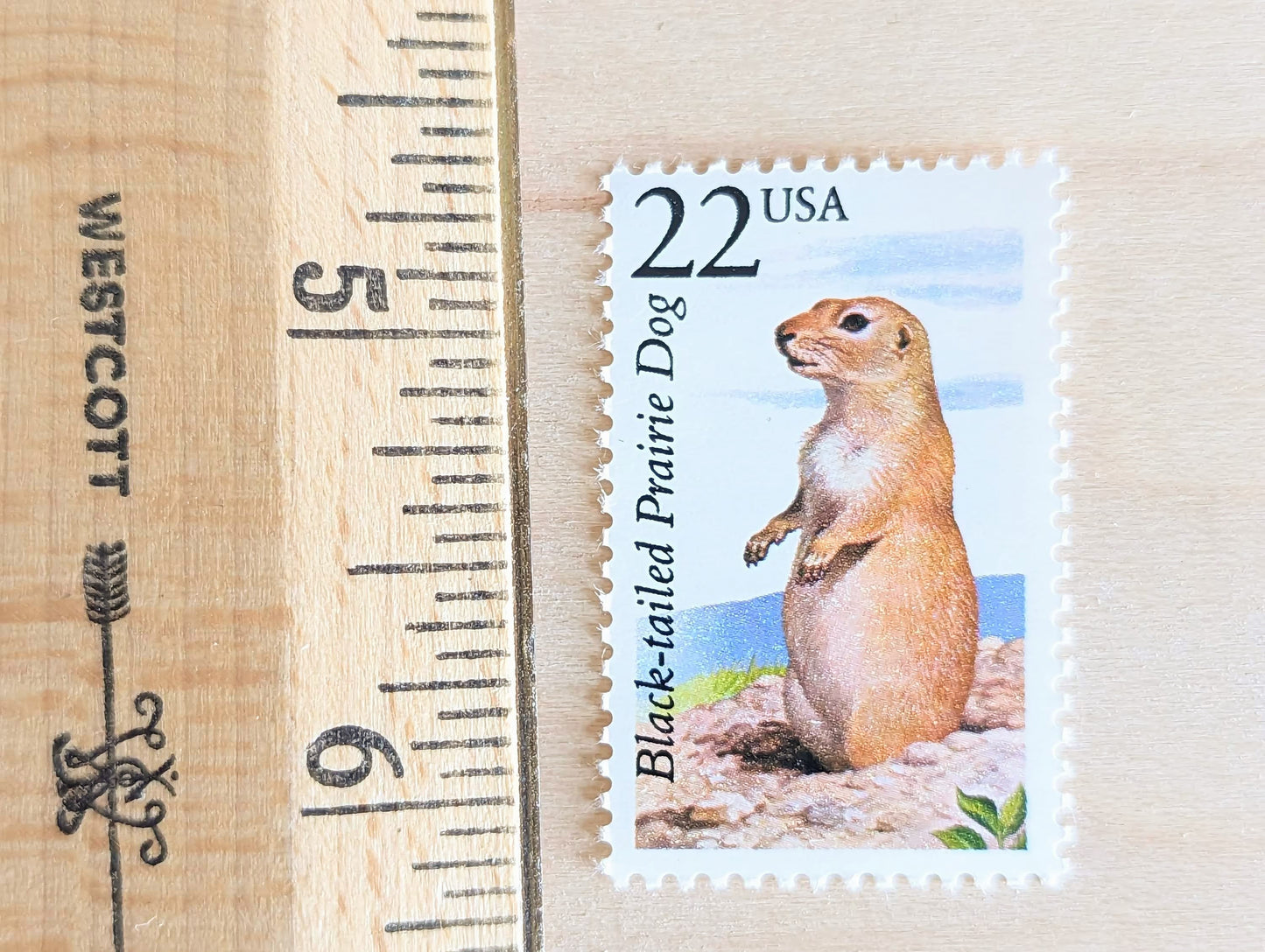 Black-Tailed Prairie Dog, Set of 5, Vintage Unused USPS 22 Cent Postage Stamps, North American Wildlife Series 1987, Gummed