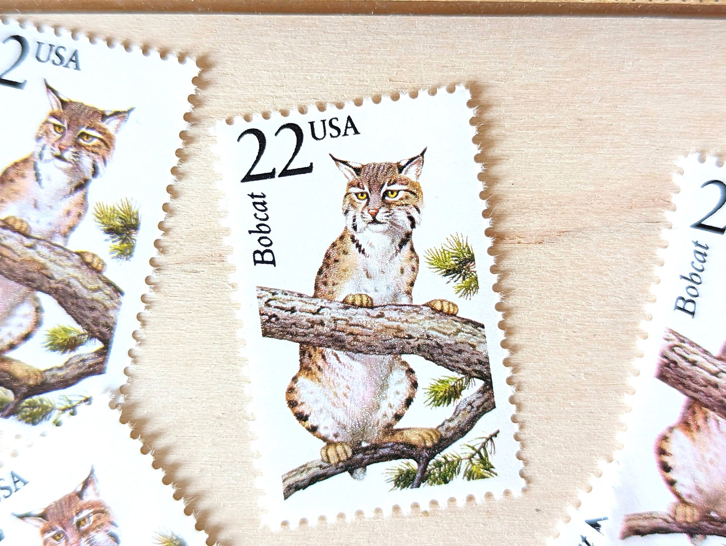Bobcat, Set of 5, Vintage Unused USPS 22 Cent Postage Stamps, North American Wildlife Series 1987, Gummed