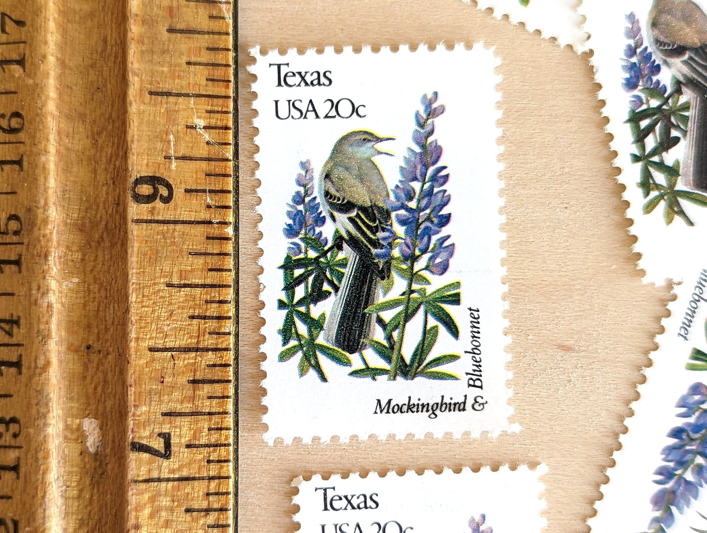 Texas State Stamp, Set of 5, Vintage Unused USPS 20 Cent Postage Stamps, State Bird and Flower 1982, Gummed
