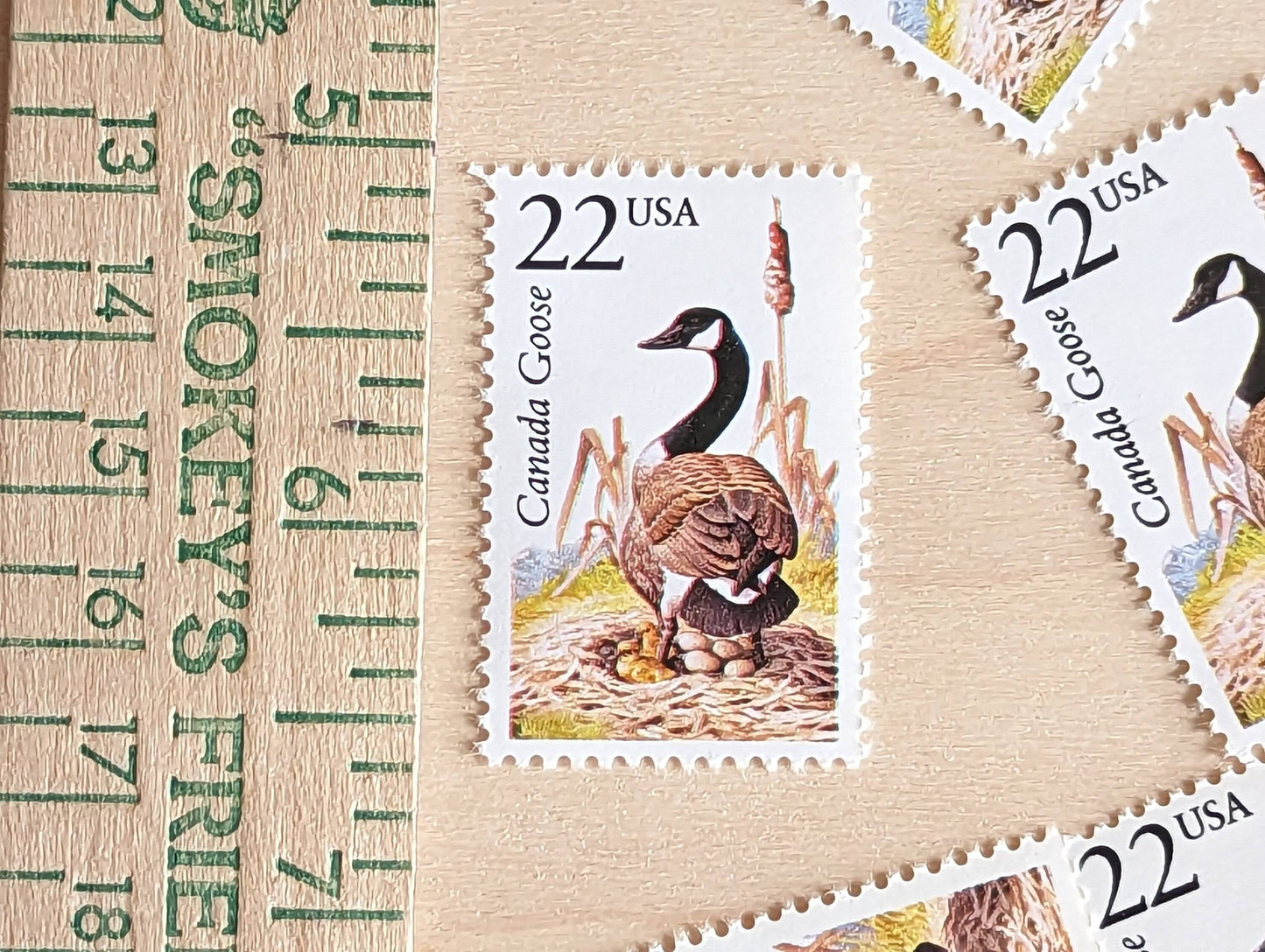 Canada Goose, Set of 5, Vintage Unused USPS 22 Cent Postage Stamps, North American Wildlife Series 1987, Gummed