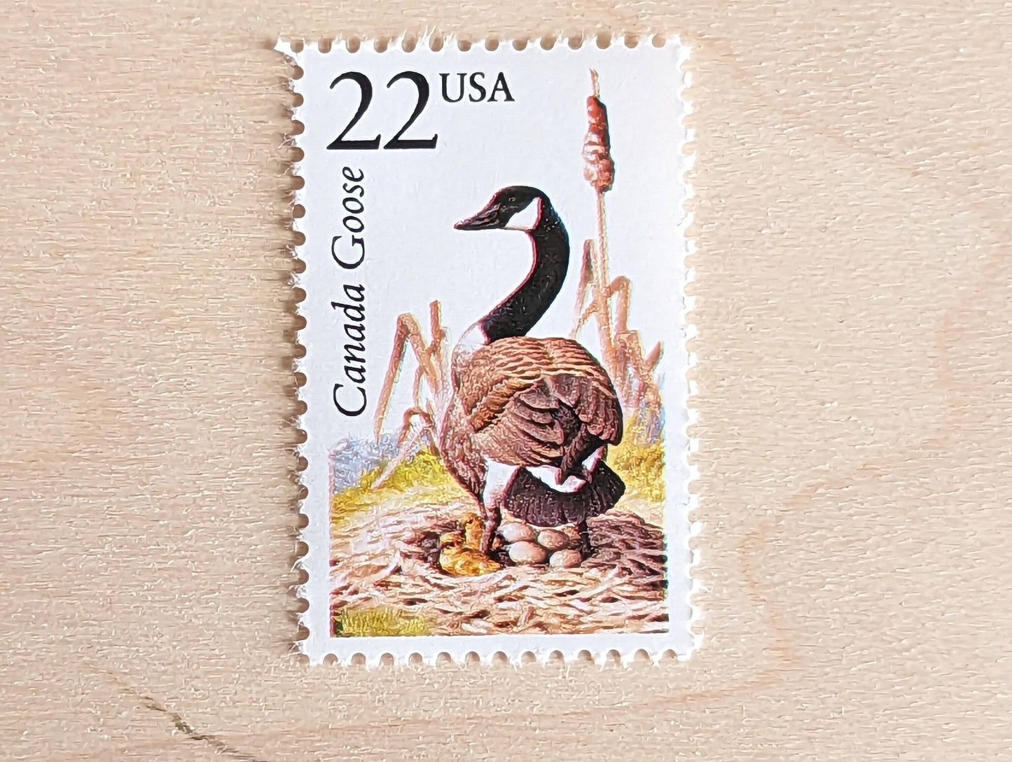 Canada Goose, Set of 5, Vintage Unused USPS 22 Cent Postage Stamps, North American Wildlife Series 1987, Gummed
