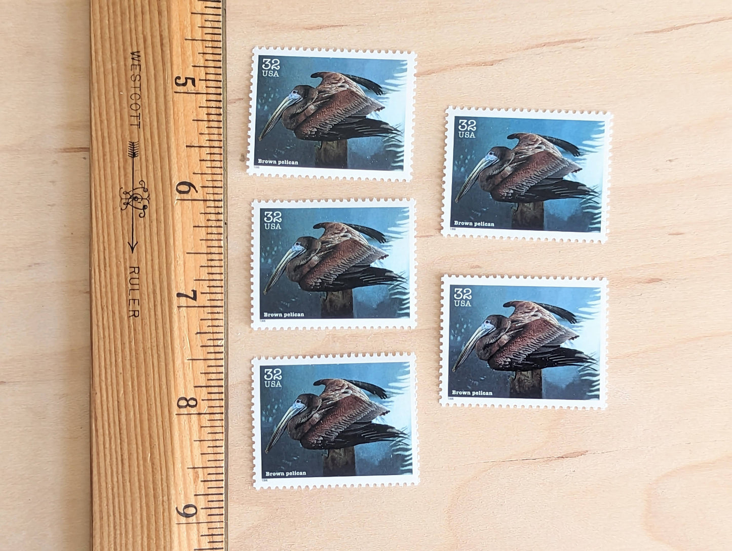 Brown Pelican Stamps, Set of 5, Vintage Unused USPS 32 Cent Postage Stamps, Endangered Species 1995, Gummed