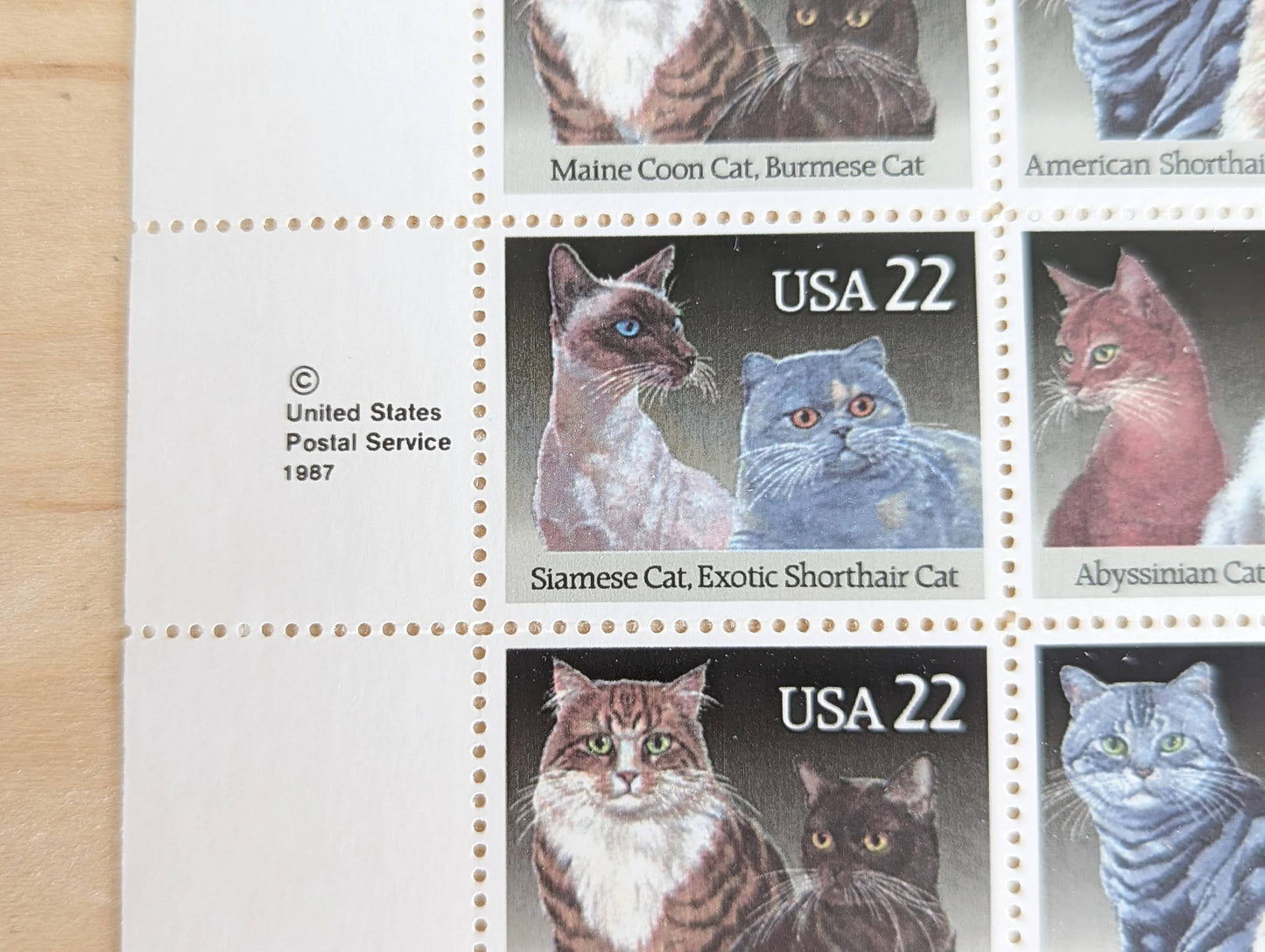 Cats, Sheet of 40, Vintage Unused USPS 22 Cent Postage Stamps, Cat Stamps (American Shorthair, Persian, Abyssinian, Himalayan, Siamese, Exotic Shorthair, Maine Coon, Burmese), 1987, Gummed