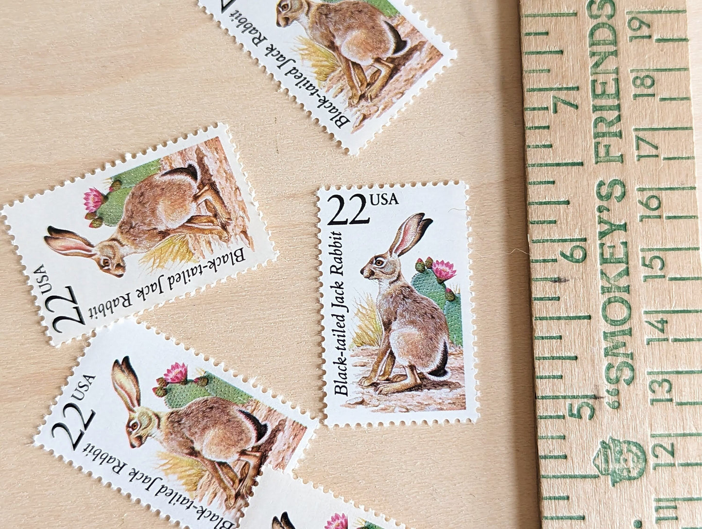 Black-Tailed Jack Rabbit, Set of 5, Vintage Unused USPS 22 Cent Postage Stamps, North American Wildlife Series 1987, Gummed