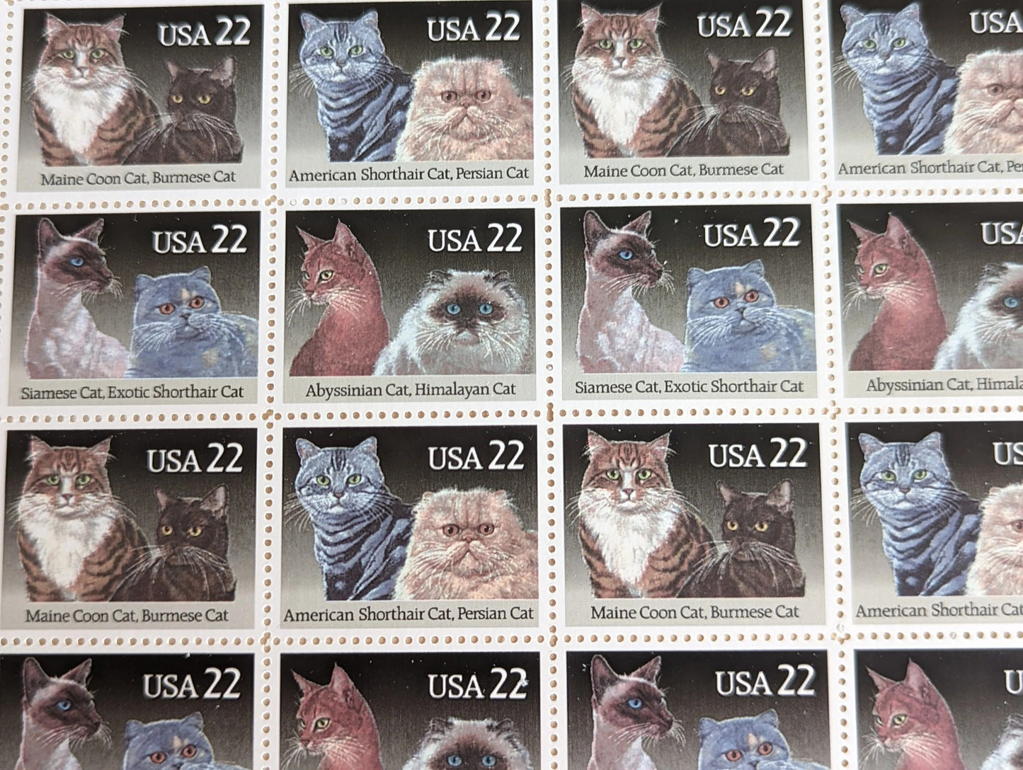 Cats, Sheet of 40, Vintage Unused USPS 22 Cent Postage Stamps, Cat Stamps (American Shorthair, Persian, Abyssinian, Himalayan, Siamese, Exotic Shorthair, Maine Coon, Burmese), 1987, Gummed