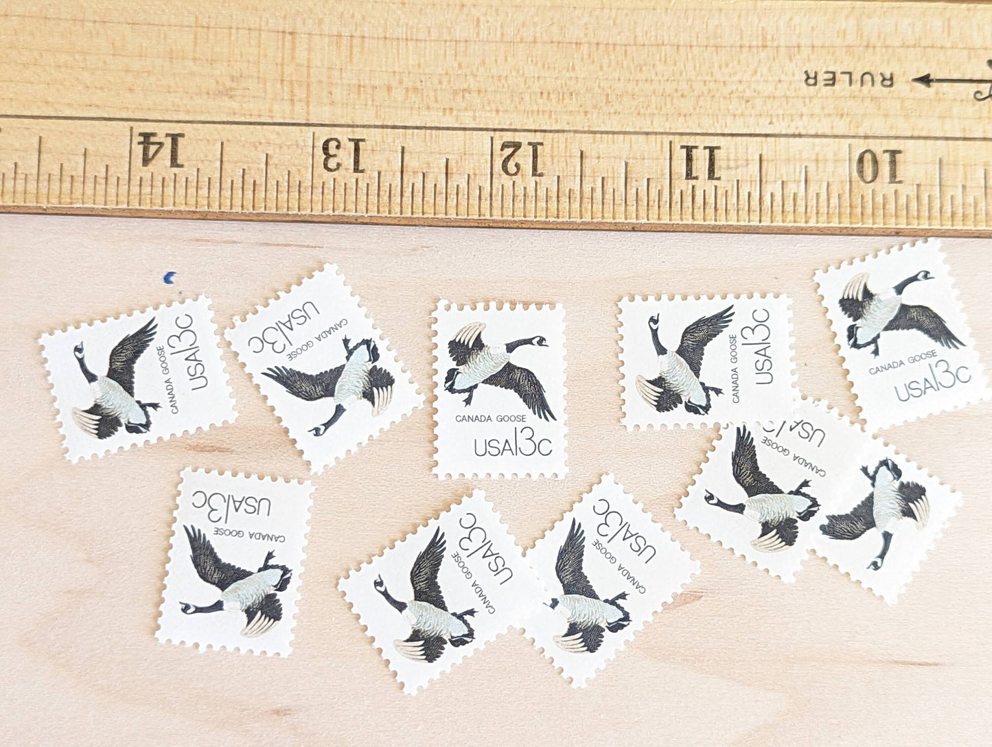Set of 10 Canada Goose Stamps, 13 Cent 1978 Unused Postage Stamps