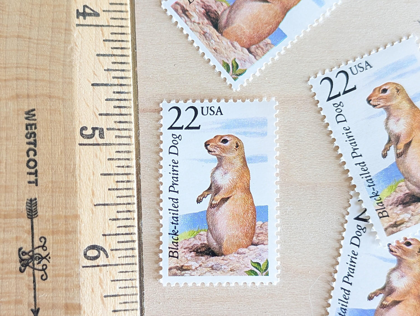 Black-Tailed Prairie Dog, Set of 5, Vintage Unused USPS 22 Cent Postage Stamps, North American Wildlife Series 1987, Gummed
