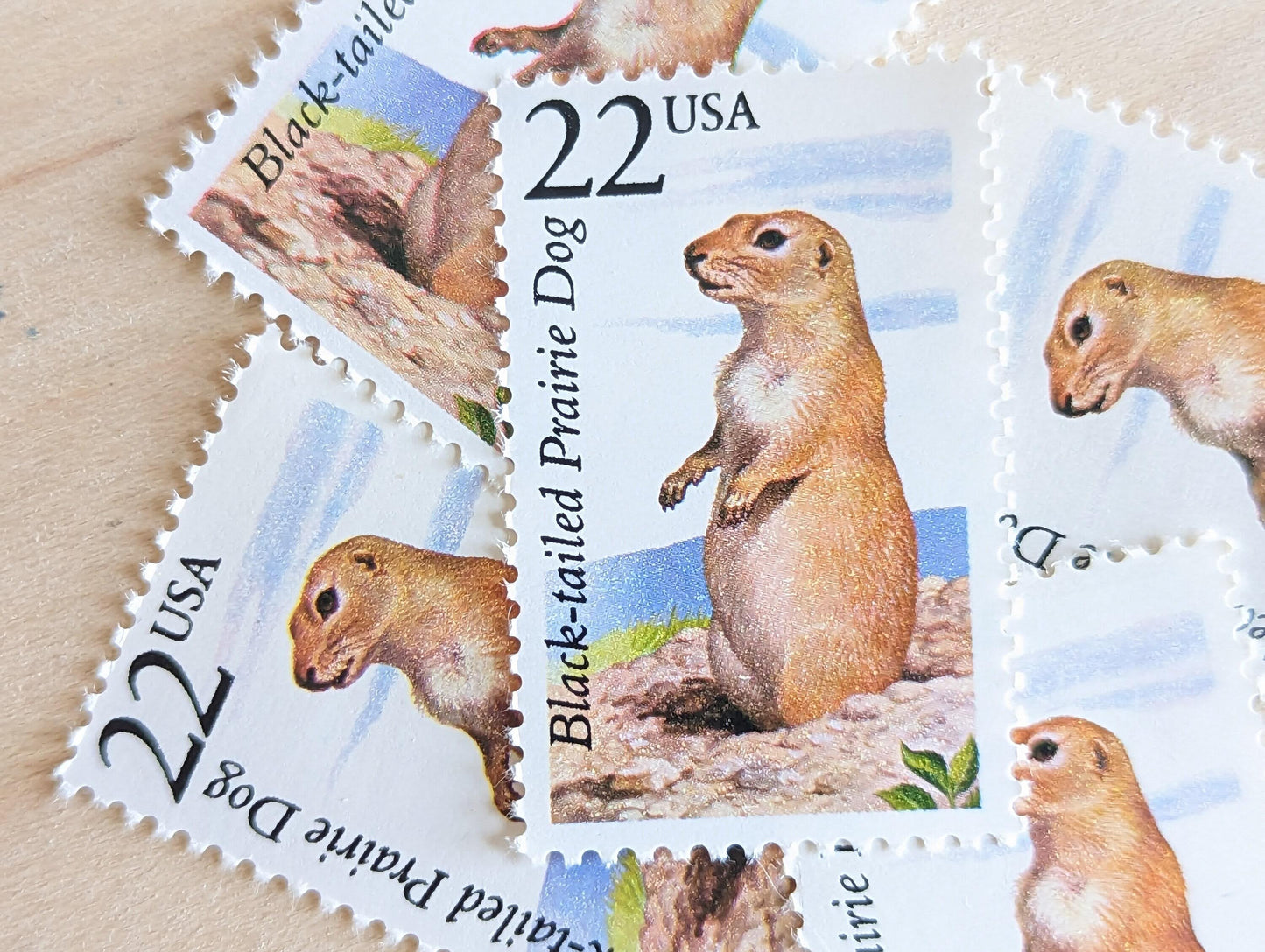 Black-Tailed Prairie Dog, Set of 5, Vintage Unused USPS 22 Cent Postage Stamps, North American Wildlife Series 1987, Gummed