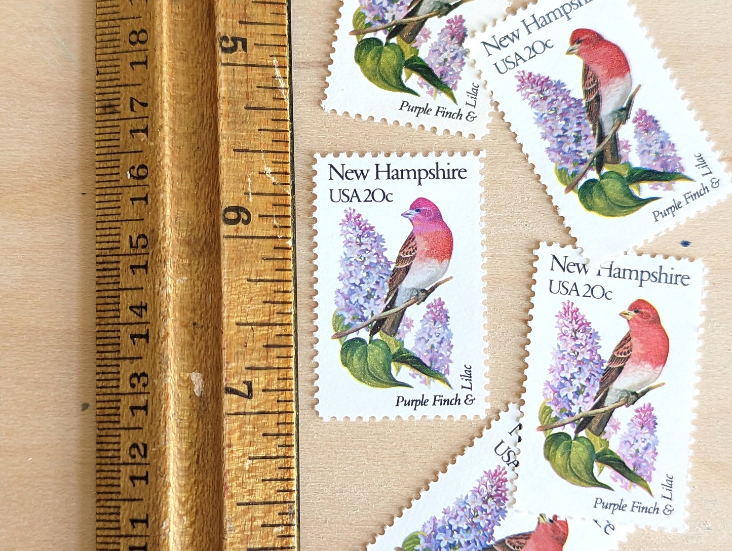 New Hampshire State Stamps, Set of 5, Vintage Unused USPS 20 Cent Postage Stamps, State Bird and Flower 1982, Gummed