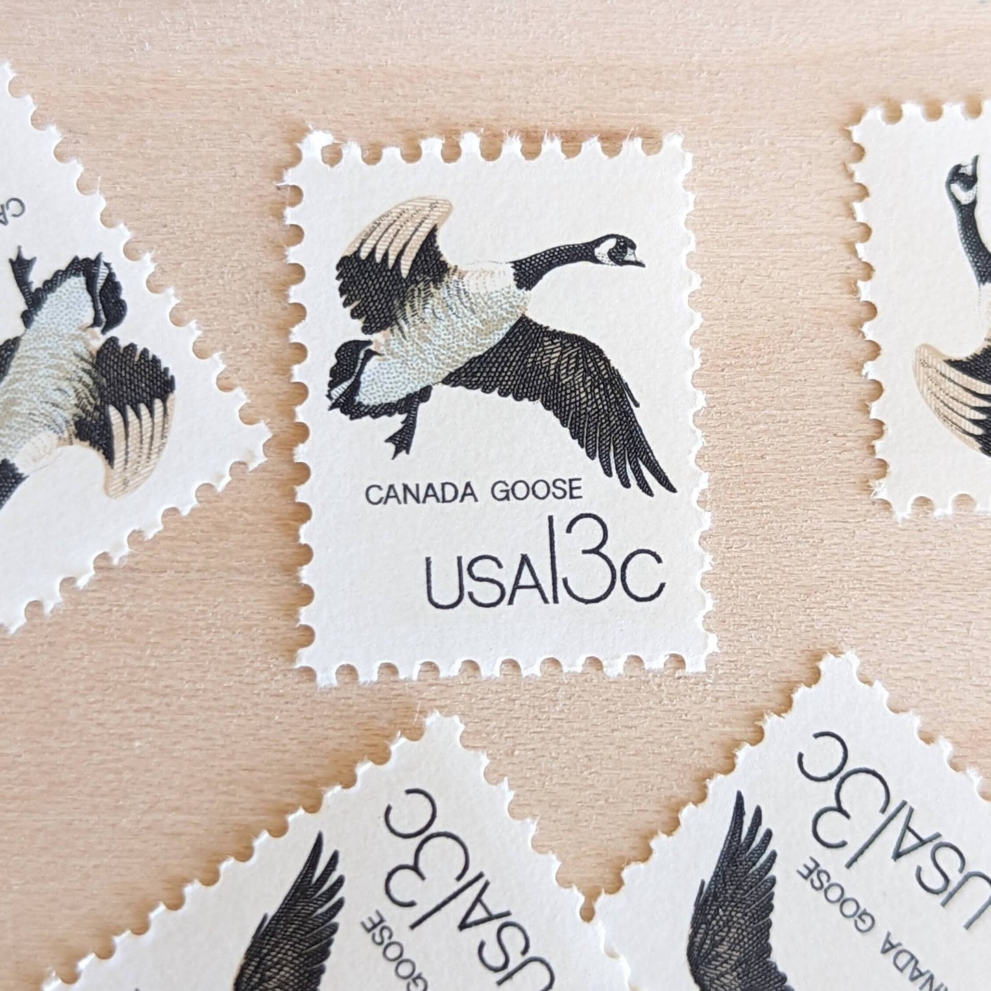 Set of 10 Canada Goose Stamps, 13 Cent 1978 Unused Postage Stamps
