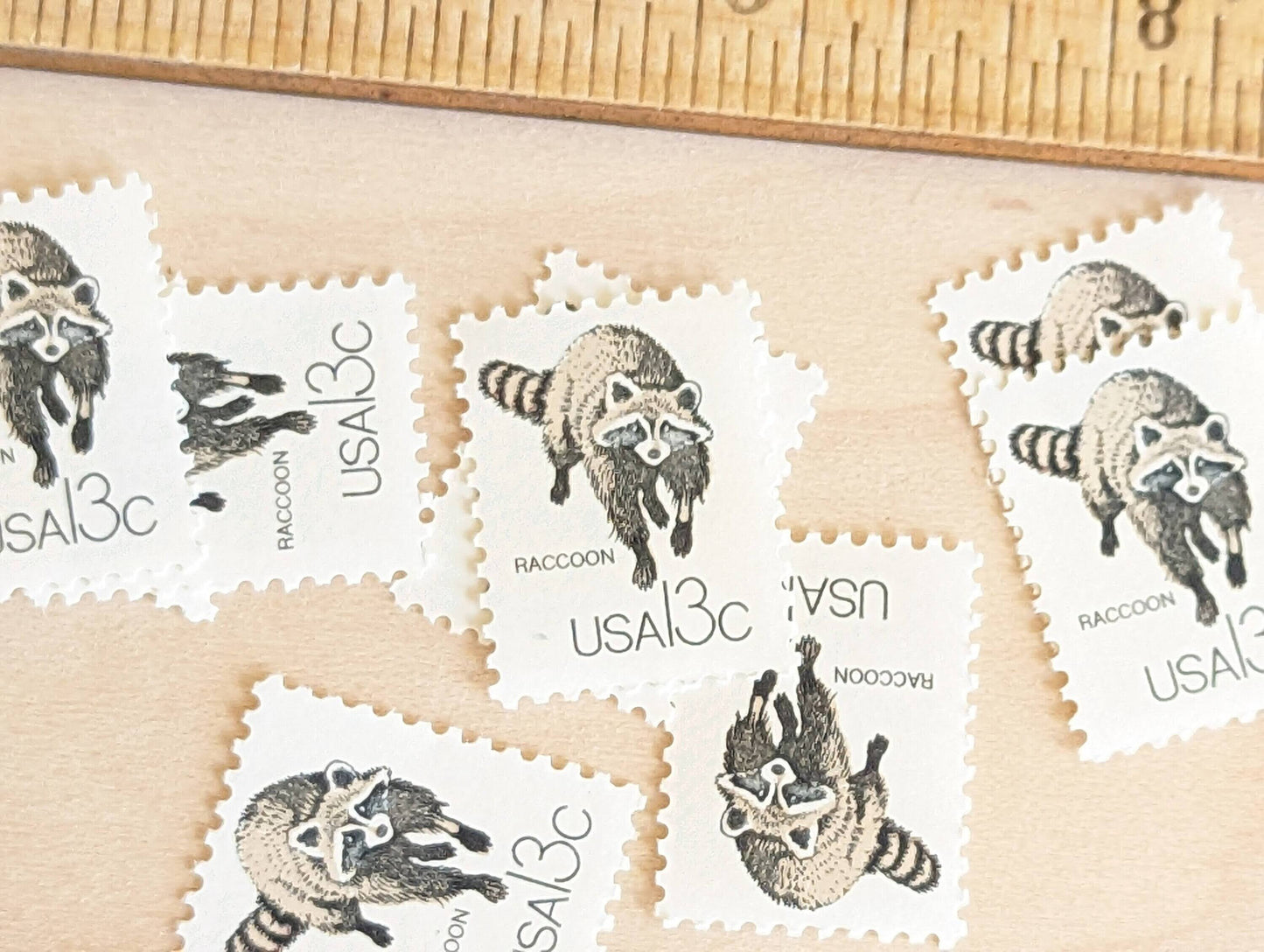 Set of 10 Raccoon Stamps, 13 Cent 1978 Unused Postage Stamps