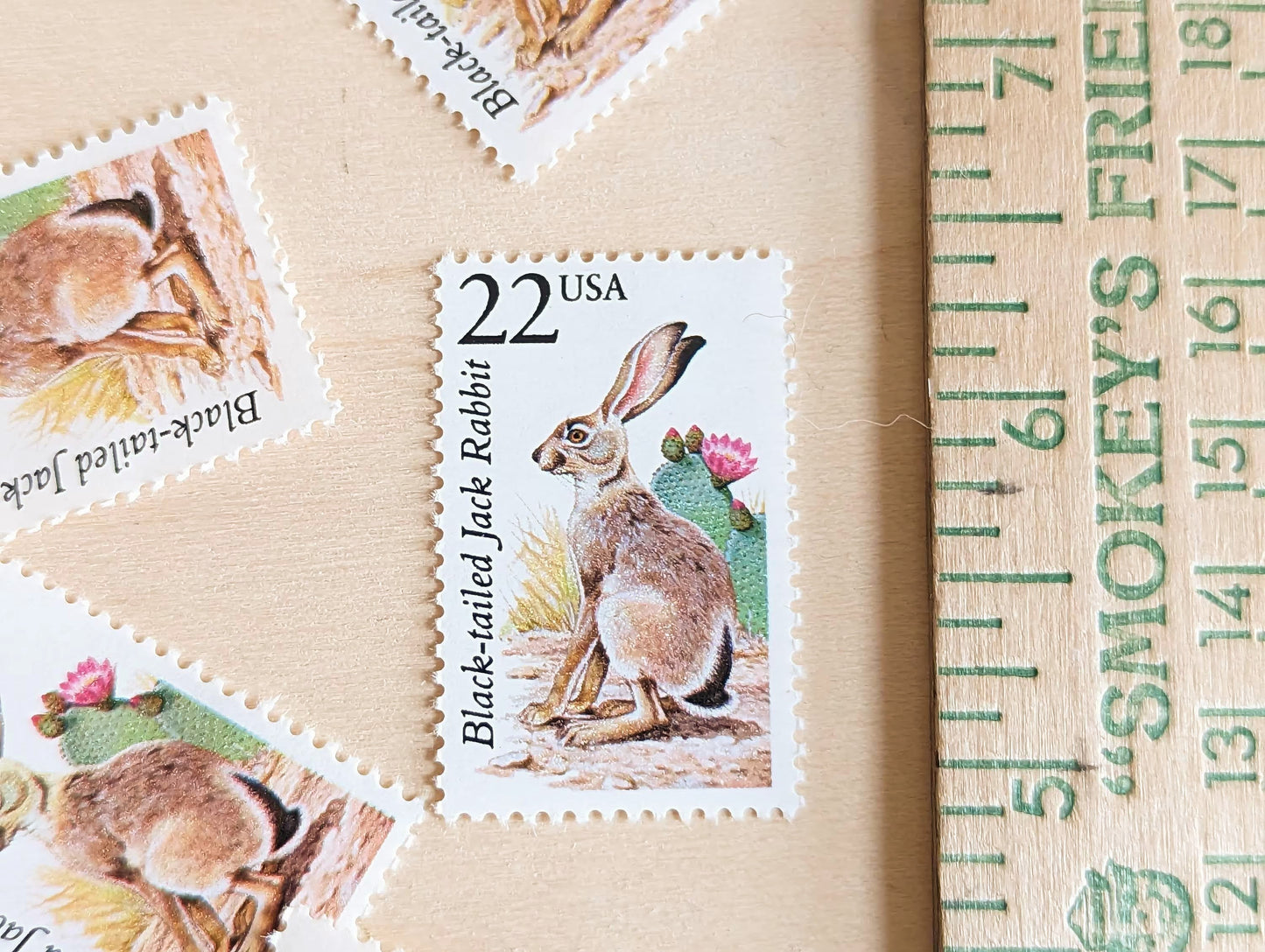 Black-Tailed Jack Rabbit, Set of 5, Vintage Unused USPS 22 Cent Postage Stamps, North American Wildlife Series 1987, Gummed