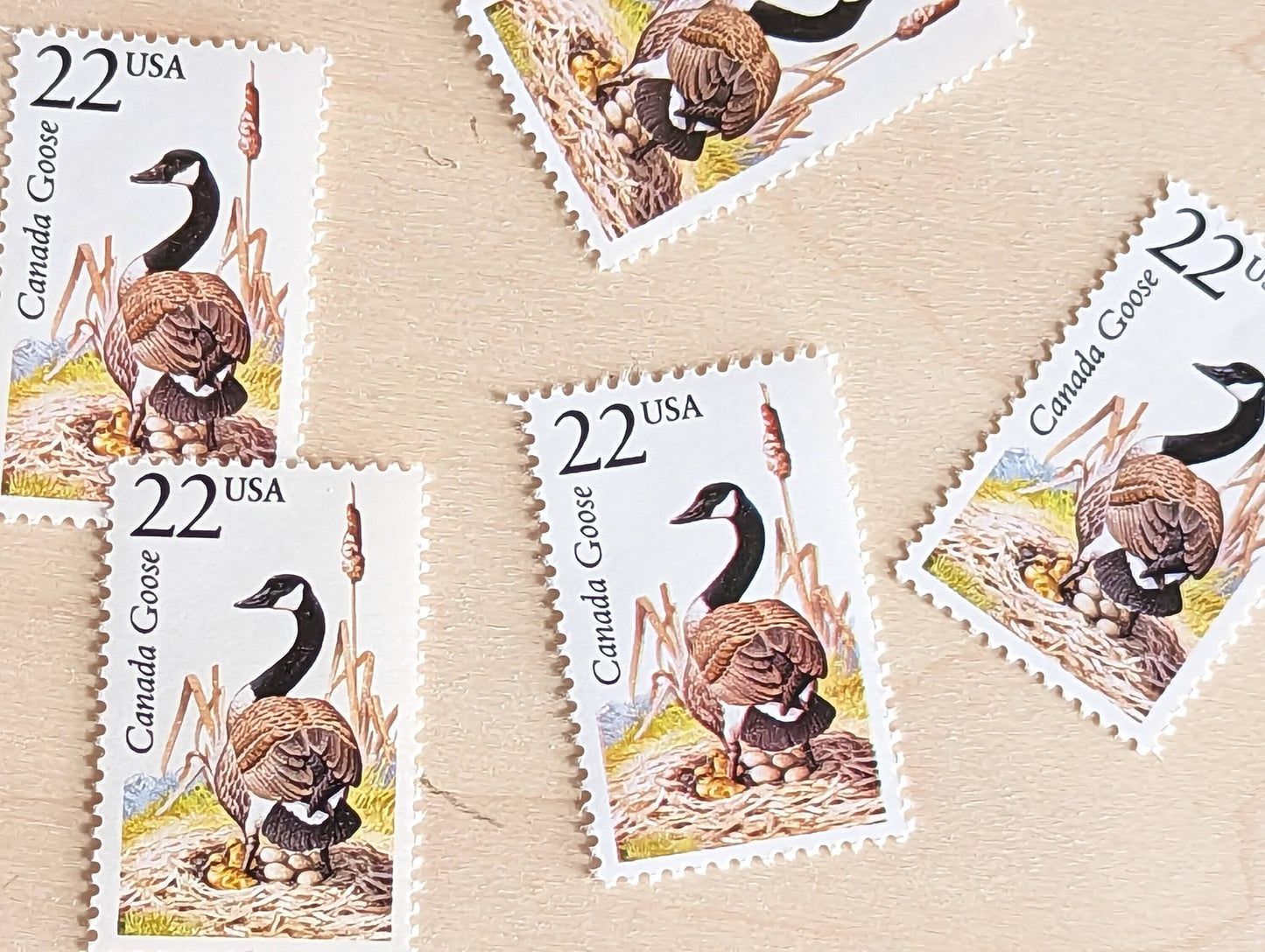 Canada Goose, Set of 5, Vintage Unused USPS 22 Cent Postage Stamps, North American Wildlife Series 1987, Gummed
