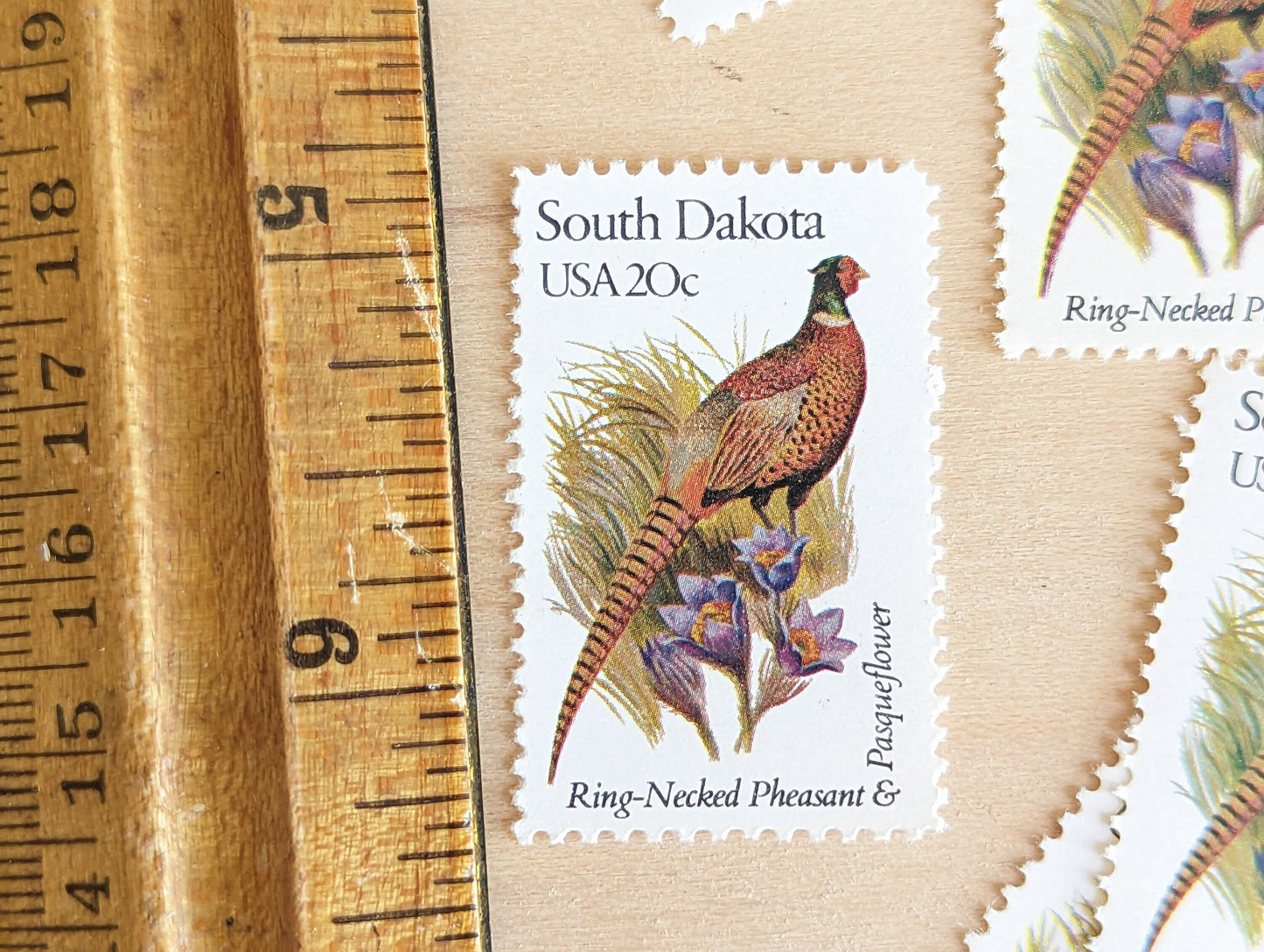 5 South Dakota State Stamp, 20 Cent, 1982, State Bird and Flower, Unused Postage Stamps