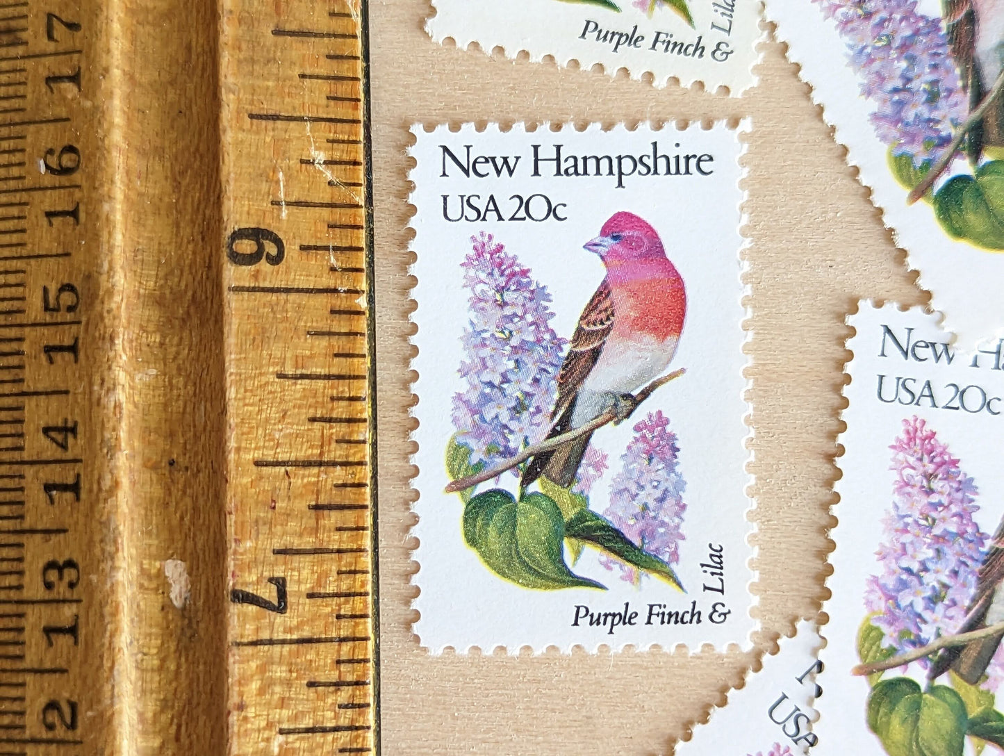 5 New Hampshire State Bird and Flower, 20 Cent, 1982, Unused Postage Stamps