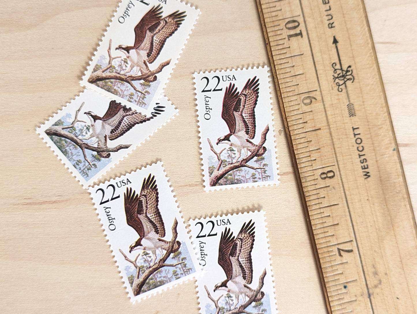 5 Osprey Wildlife Stamps, 22 Cent 1987 Unused Postage Stamps