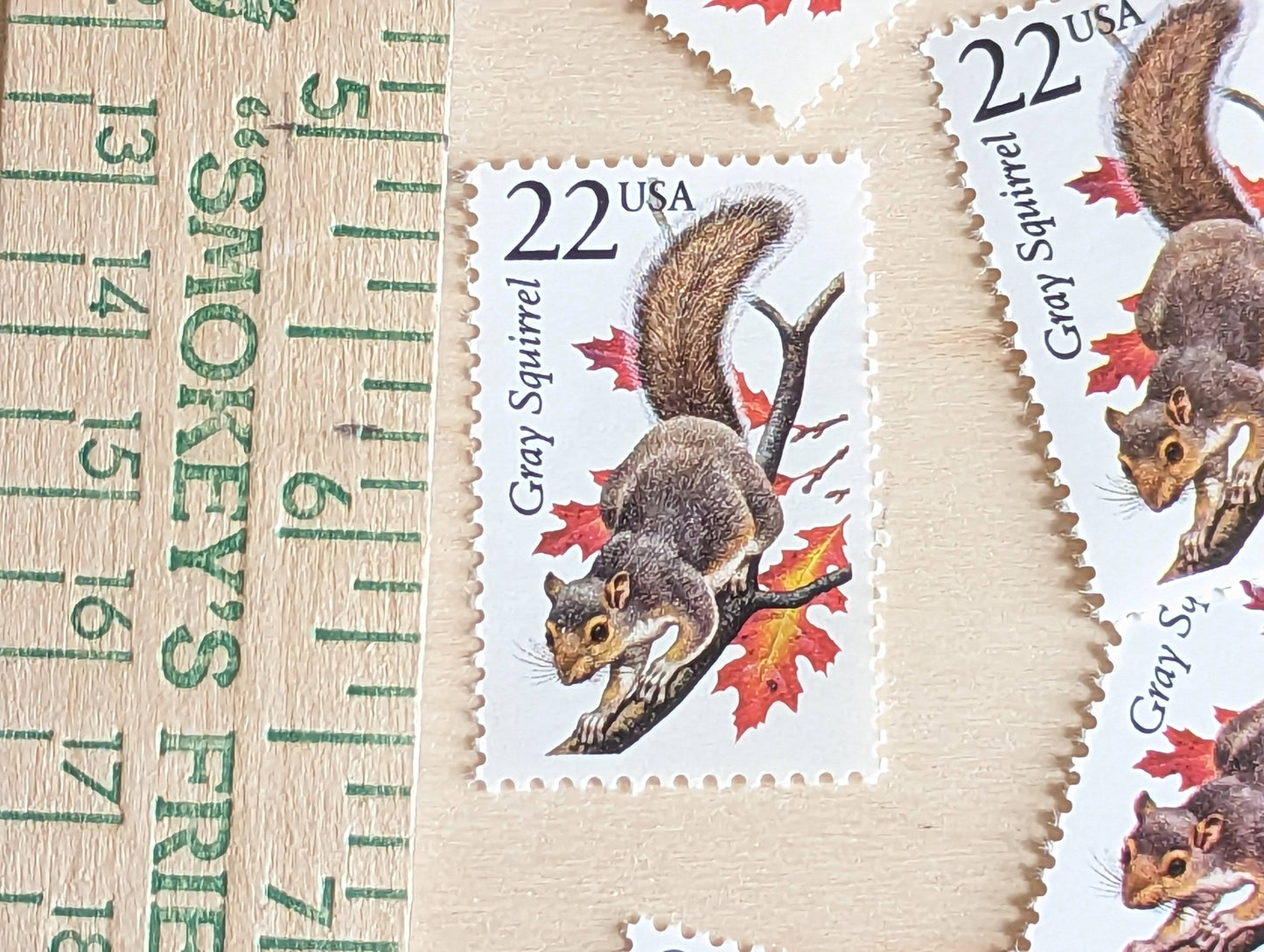 5 Gray Squirrel Stamps, 22 Cent, 1987, Unused Postage Stamps