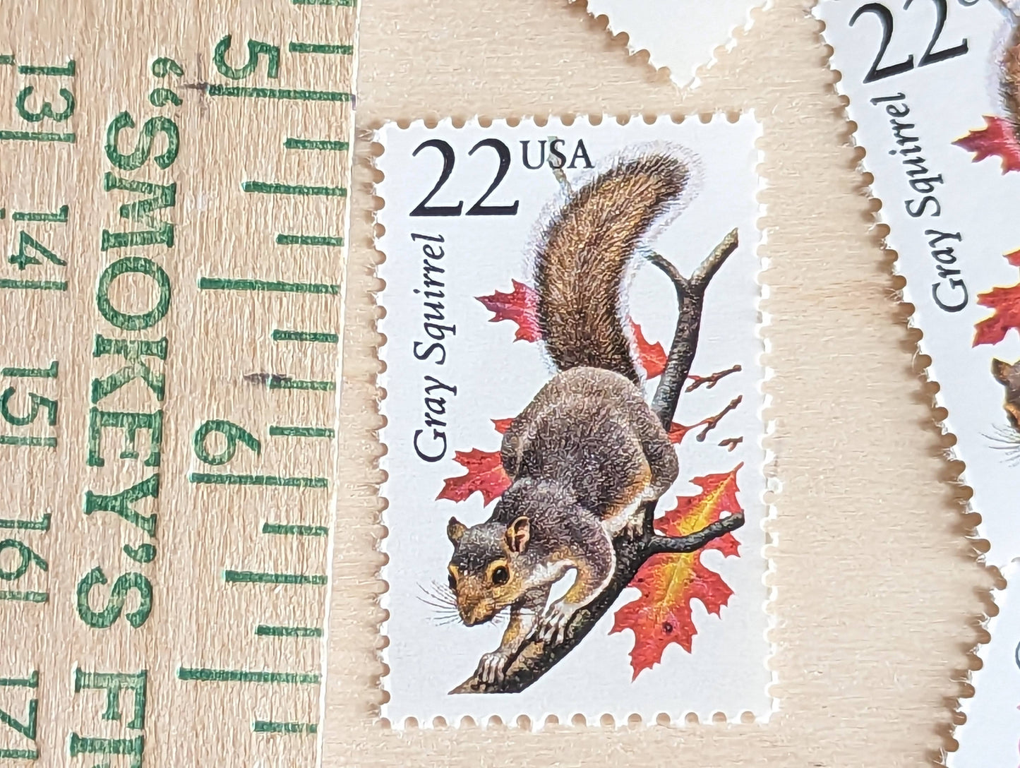 5 Gray Squirrel Stamps, 22 Cent, 1987, Unused Postage Stamps