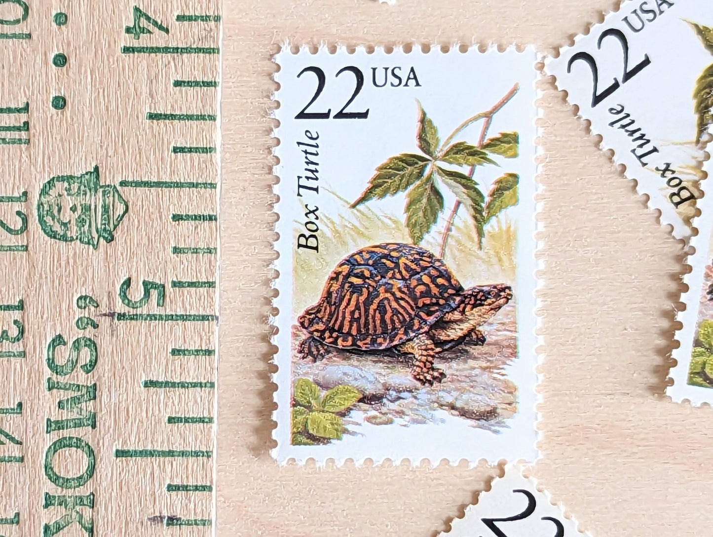 5 Box Turtle Stamps, 22 Cent, 1987, Unused Postage Stamps