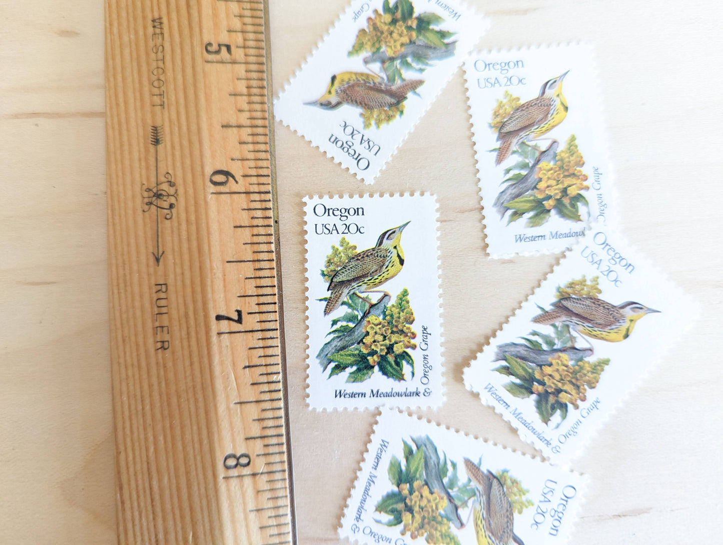 5 Oregon State Stamp, 20 Cent, 1982, State Bird and Flower, Unused Postage Stamps