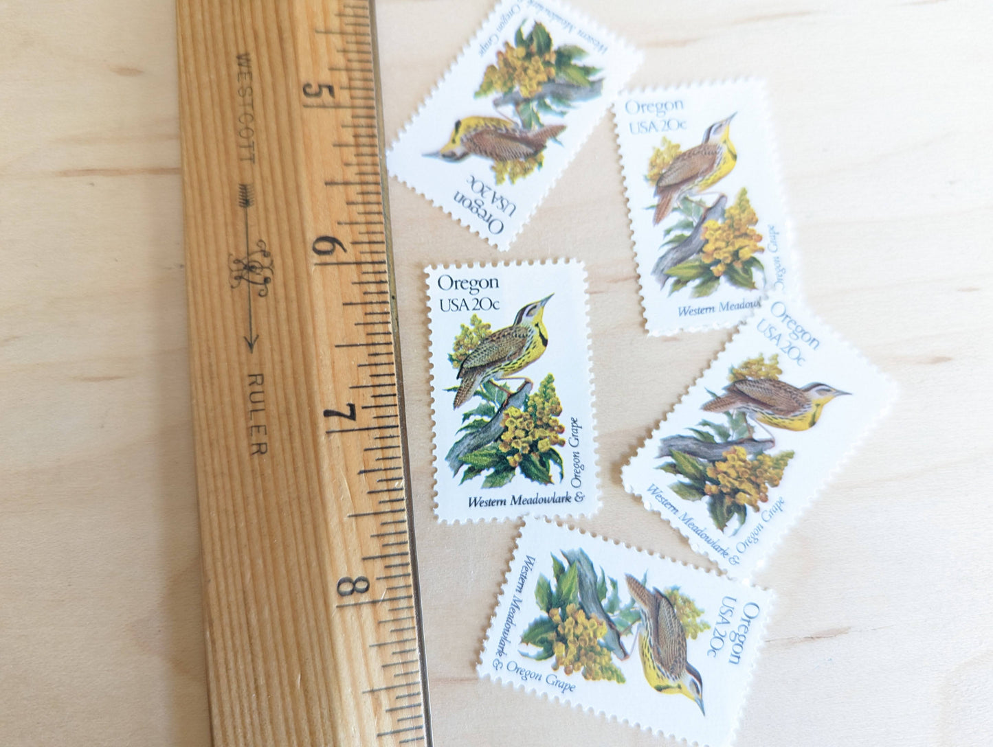 5 Oregon State Stamp, 20 Cent, 1982, State Bird and Flower, Unused Postage Stamps