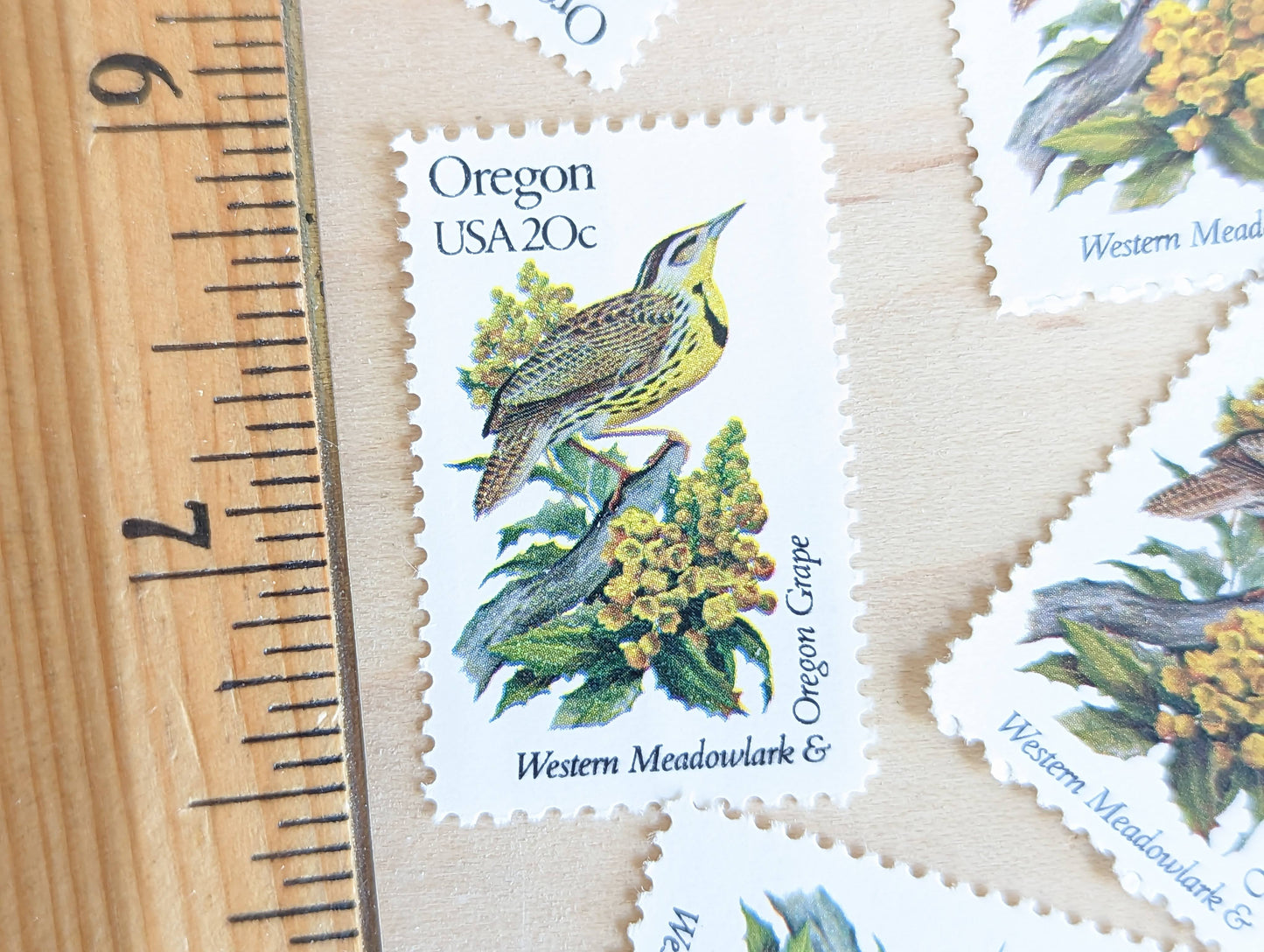 5 Oregon State Stamp, 20 Cent, 1982, State Bird and Flower, Unused Postage Stamps