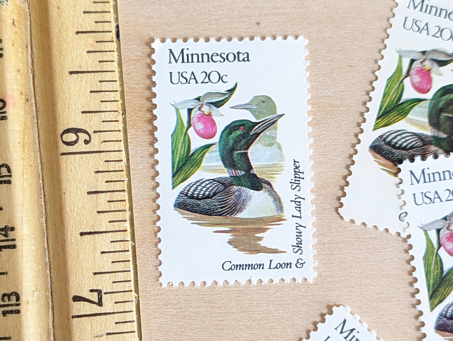 5 Minnesota State Bird and Flower, 20 Cent, 1982, Unused Postage Stamps