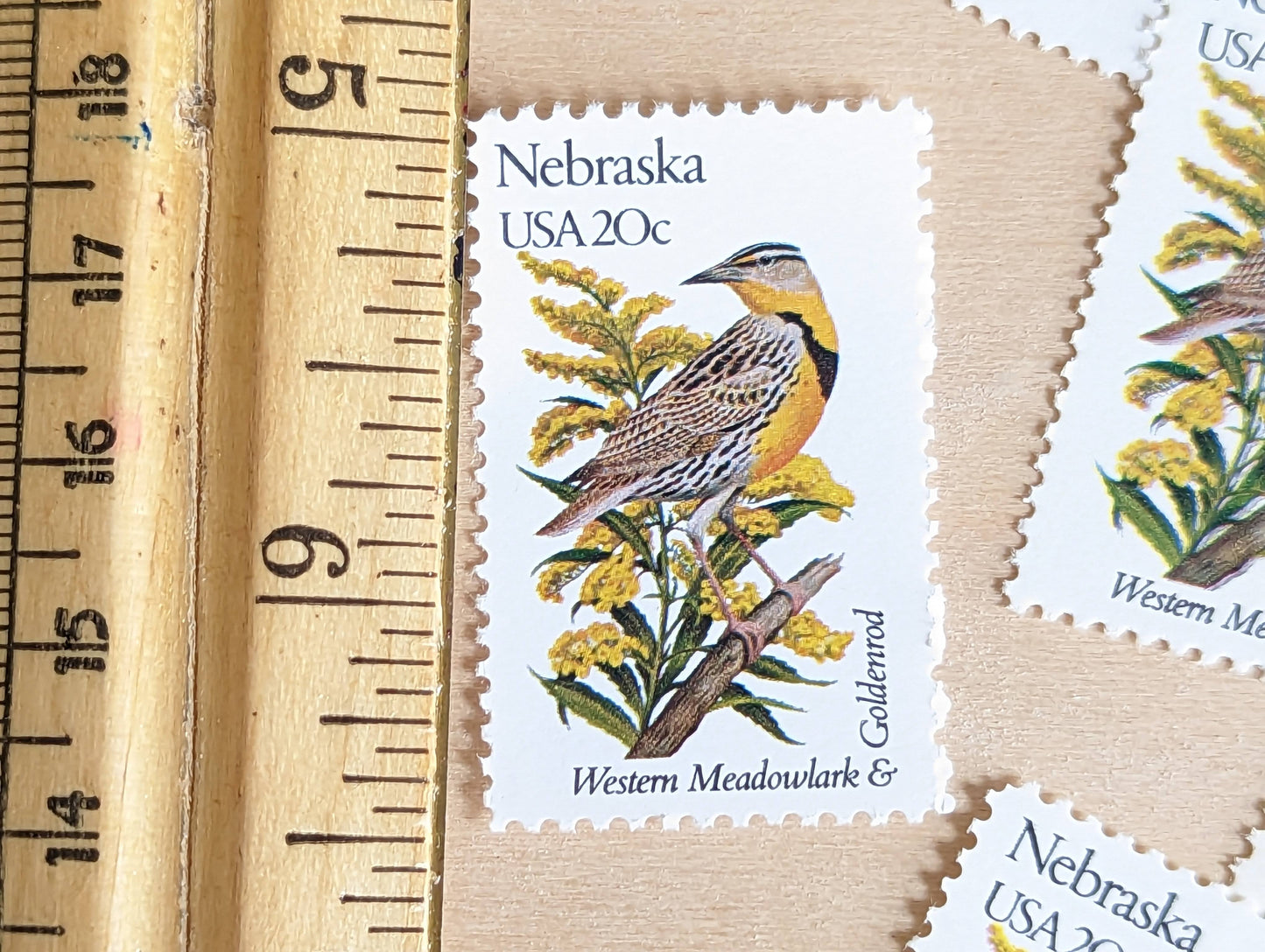 5 Nebraska State Bird and Flower, 20 Cent, 1982, Unused Postage Stamps