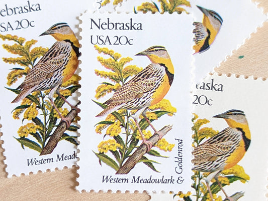 Nebraska State Stamp, Set of 5, Vintage Unused USPS 20 Cent Postage Stamps, State Bird and Flower, 1982, Gummed