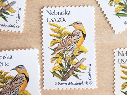 5 Nebraska State Bird and Flower, 20 Cent, 1982, Unused Postage Stamps