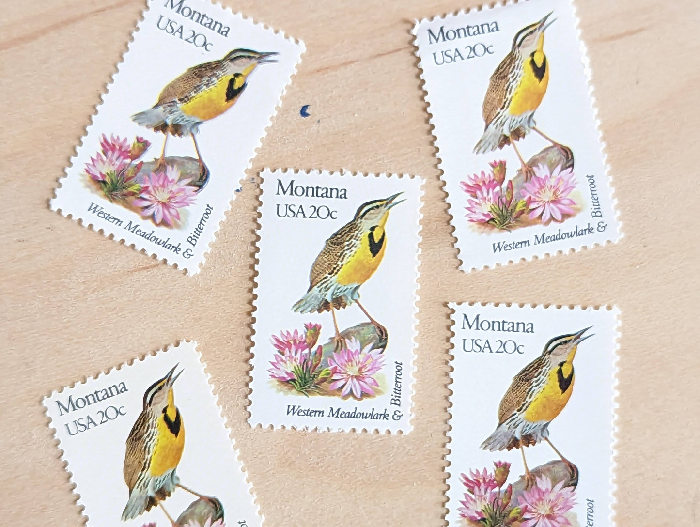 5 Montana State Bird and Flower, 20 Cent, 1982, Unused Postage Stamps