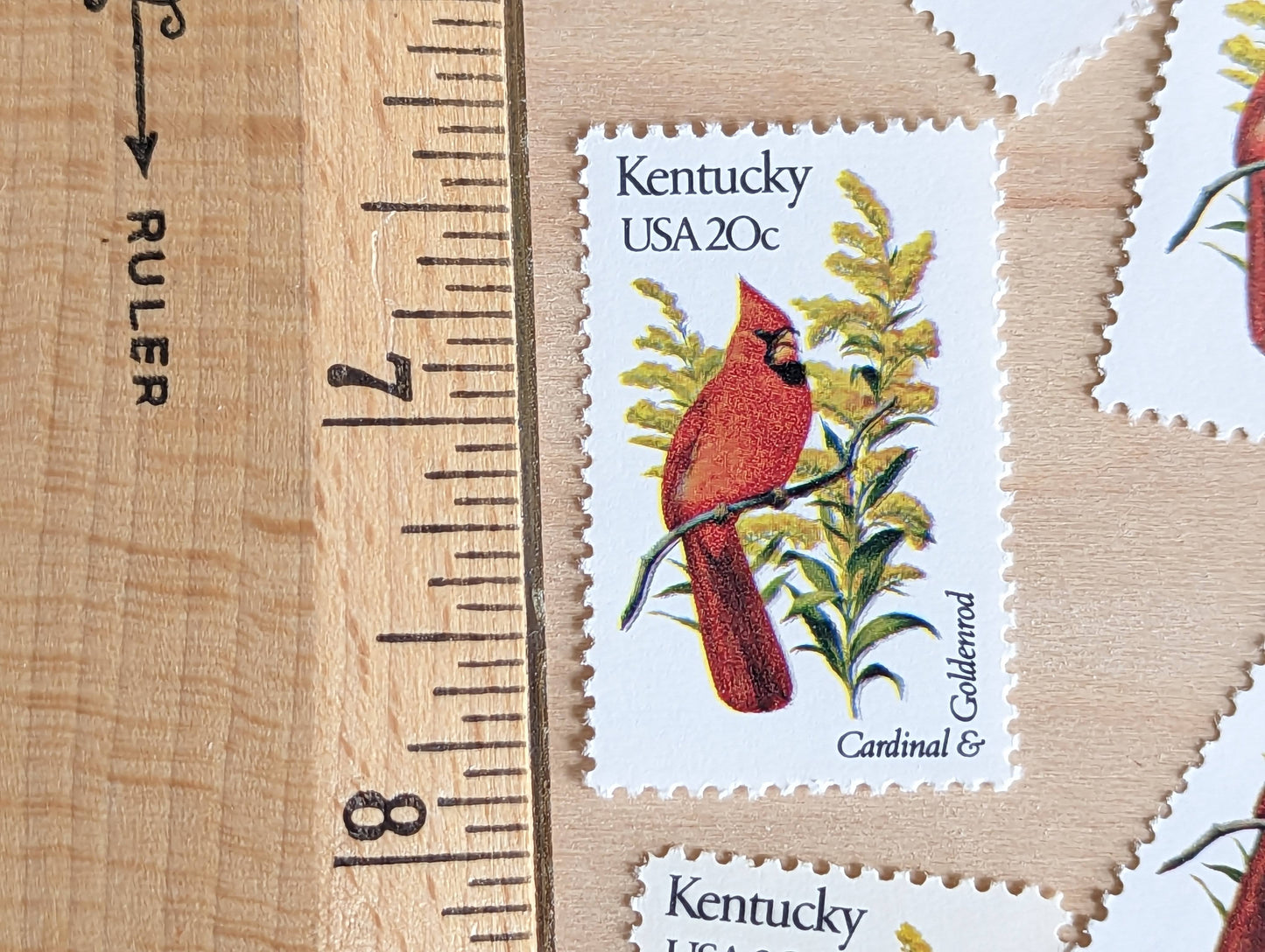 5 Kentucky State Bird and Flower, 20 Cent, 1982, Unused Postage Stamps