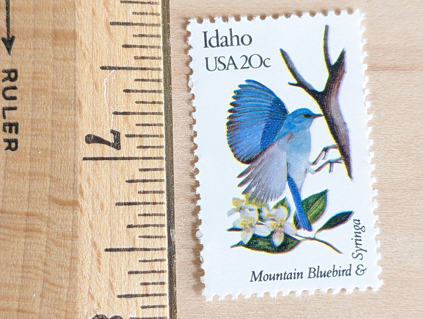 5 Idaho State Bird and Flower, 20 Cent, 1982, Unused Postage Stamps