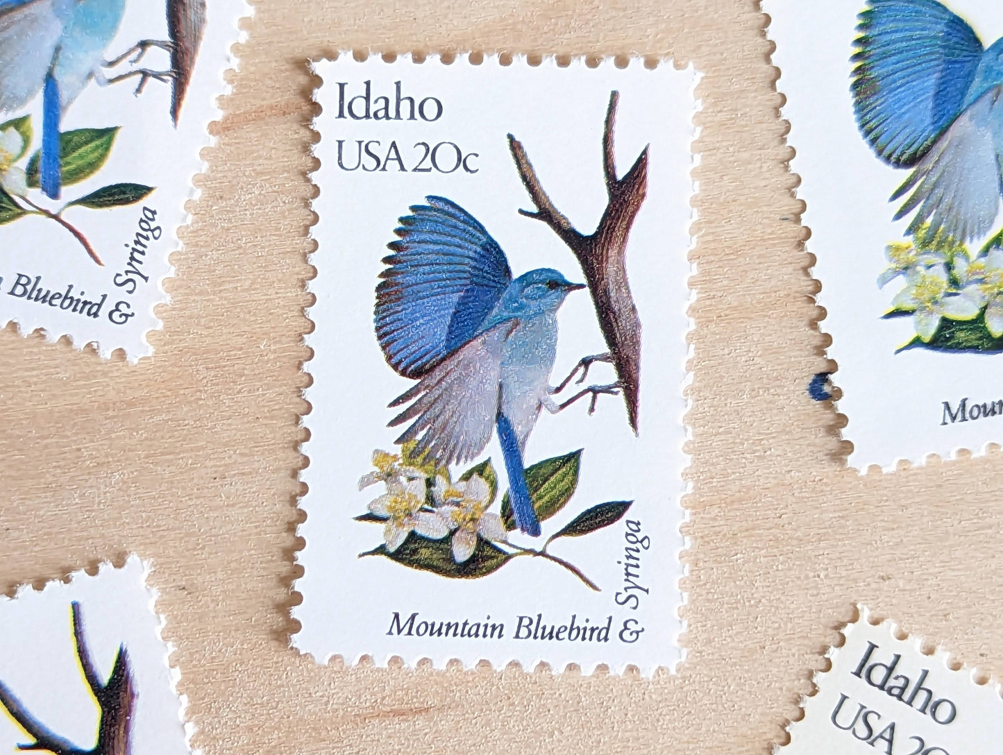 5 Idaho State Bird and Flower, 20 Cent, 1982, Unused Postage Stamps