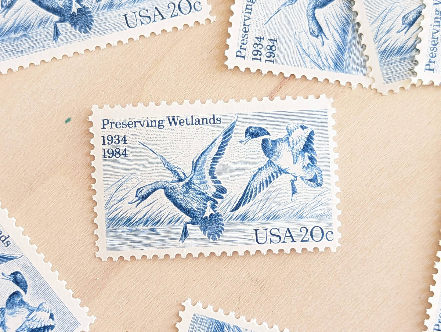 Preserving Wetlands, Vintage Unused USPS 20 Cent Postage Stamps, Preserving Wetlands Stamps, 1984, Gummed