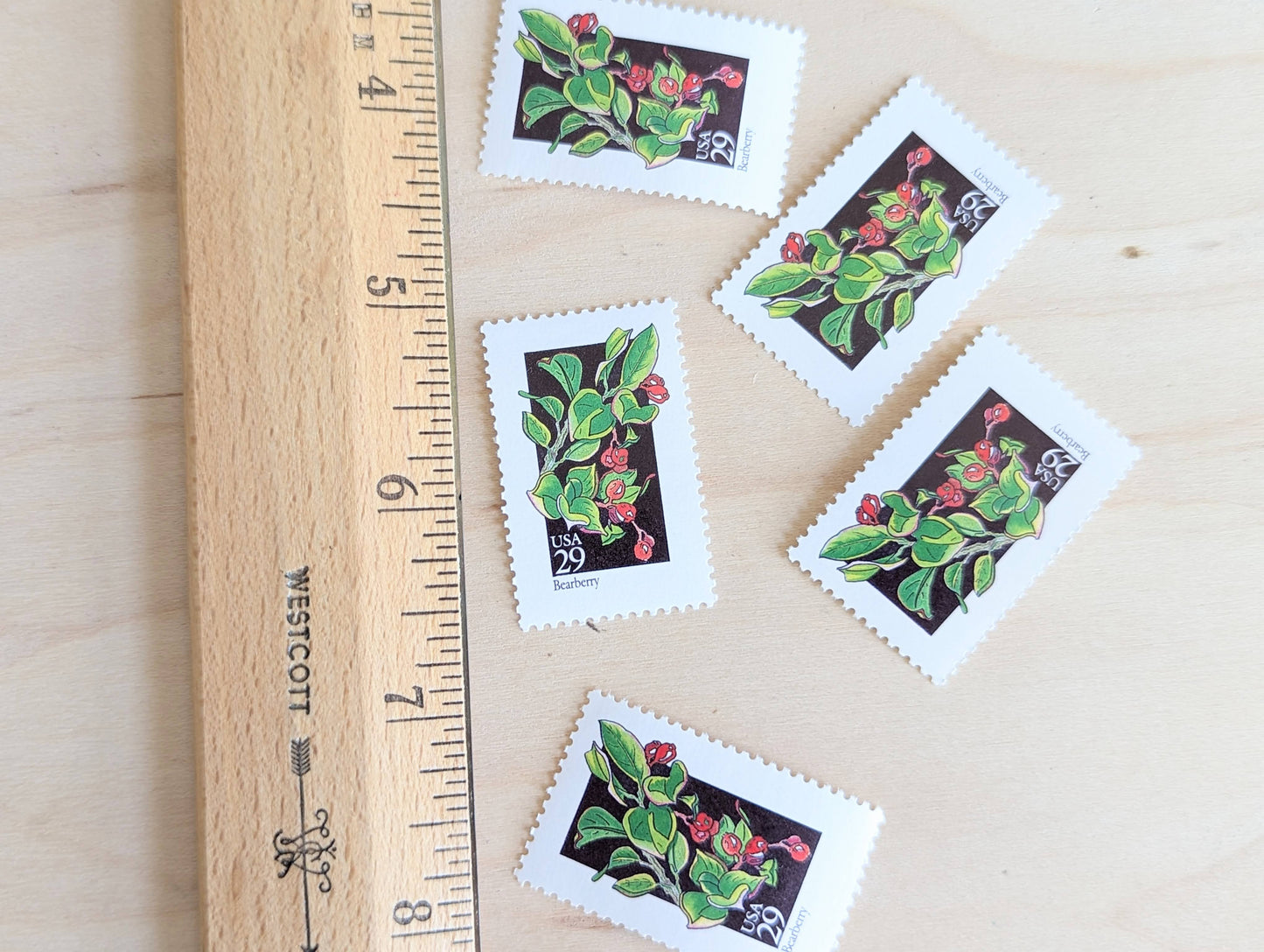 Set of 5 Bearberry Wildflower Stamps, 29 cent stamps, 1992 Unused USPS Postage Stamps