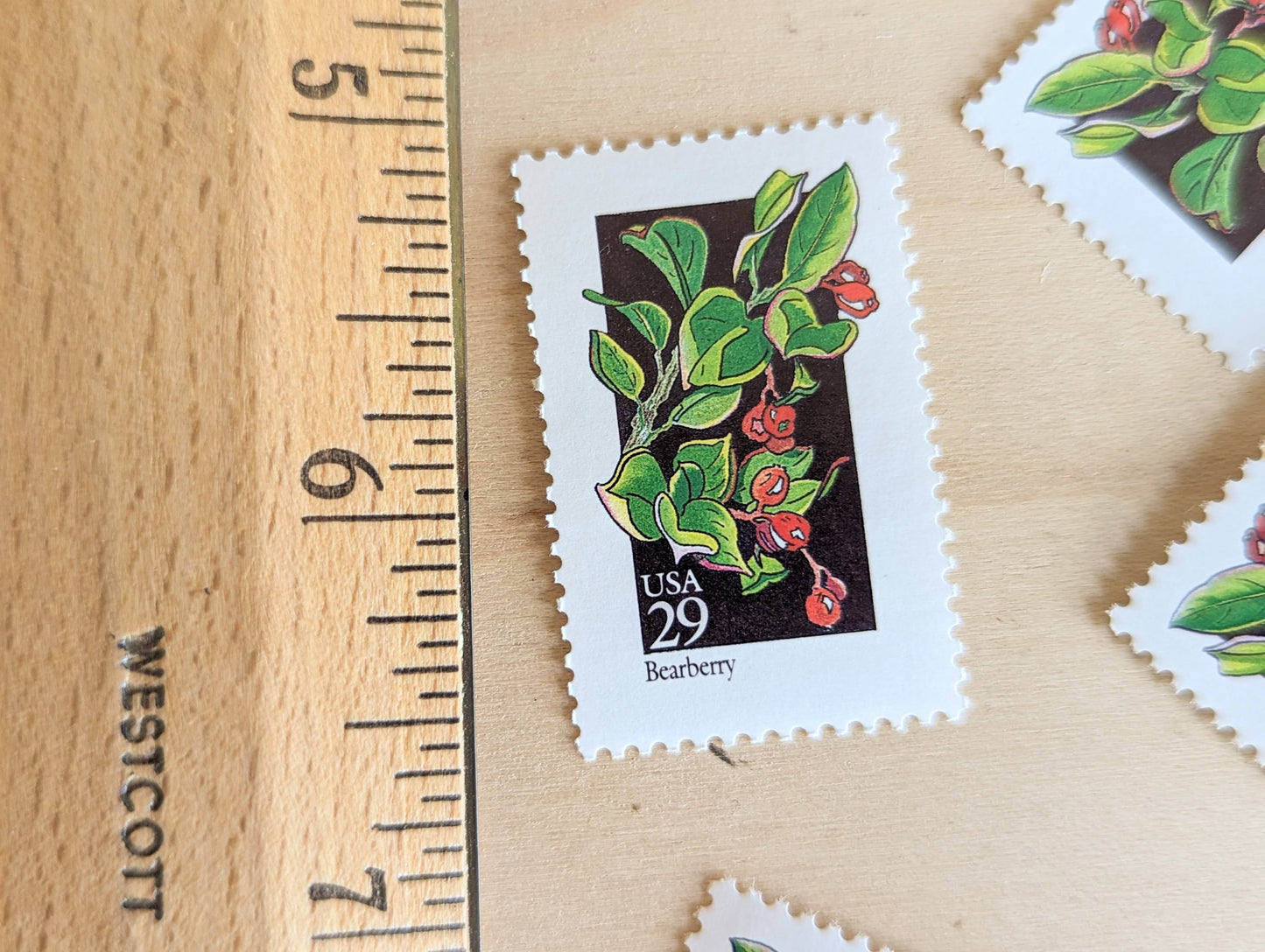 Set of 5 Bearberry Wildflower Stamps, 29 cent stamps, 1992 Unused USPS Postage Stamps