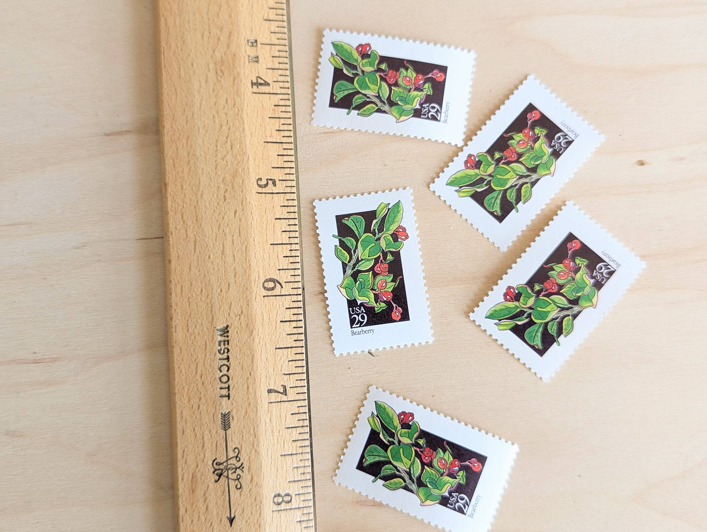 Set of 5 Bearberry Wildflower Stamps, 29 cent stamps, 1992 Unused USPS Postage Stamps